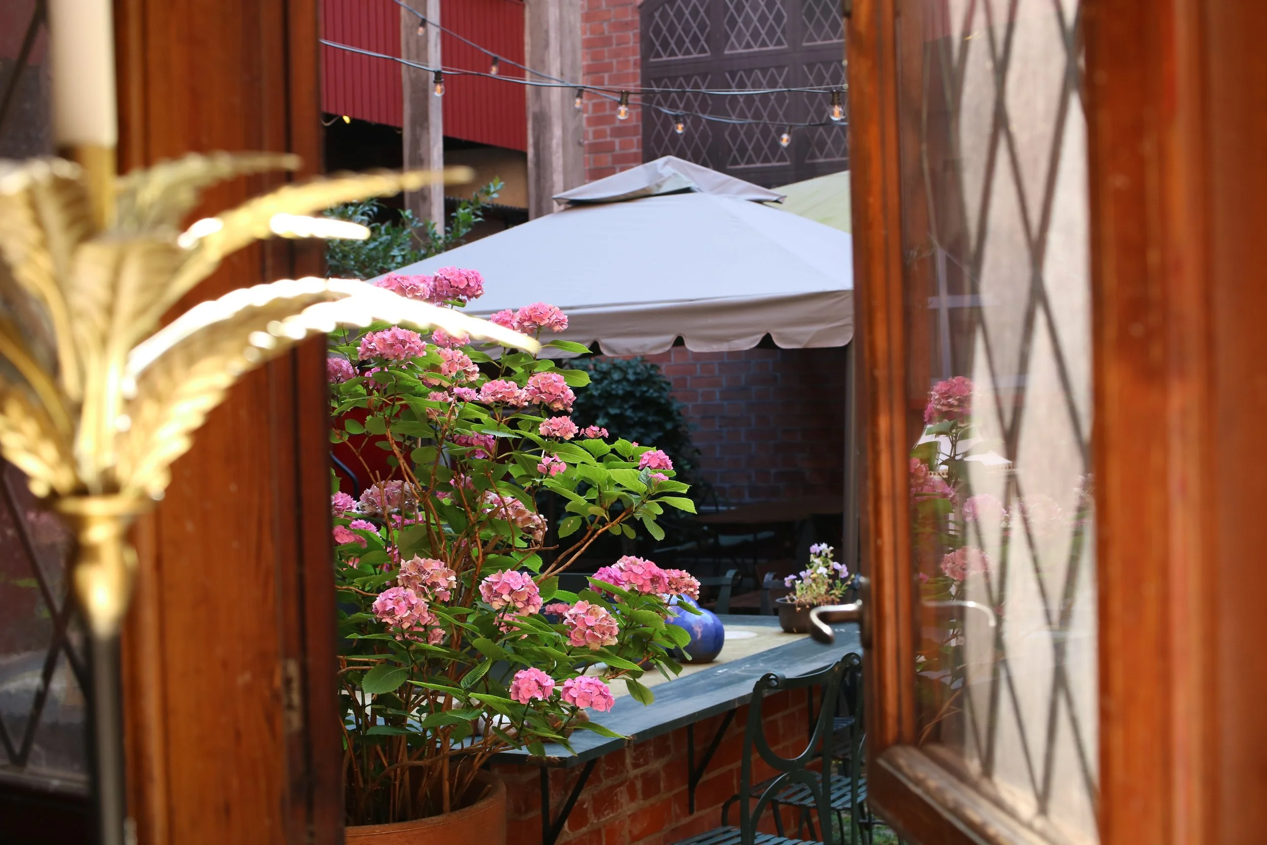 A view through a partially open wooden window shows a backyard garden with pink hydrangea flowers, potted plants, a white patio umbrella, and string lights hanging overhead against a brick and wooden wall.