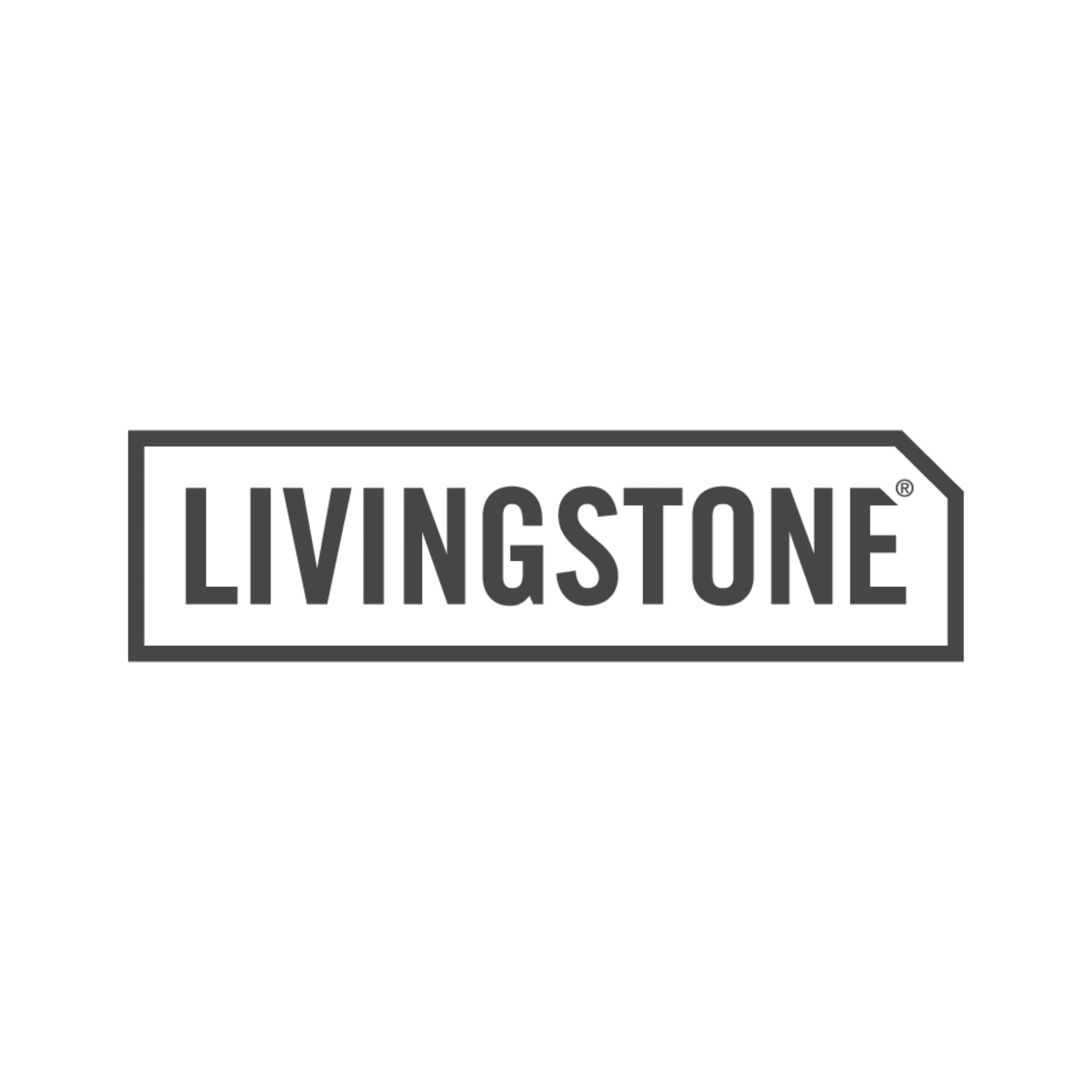Black and white image of a LEGO Minifigure with a hood, mask, and tool, with the words 'LIVINGSTONE' in a box at the bottom.