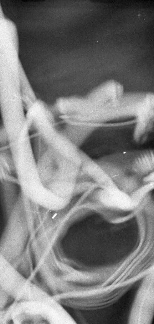 oklahoma_024_lr 18.49.44 2.jpeg