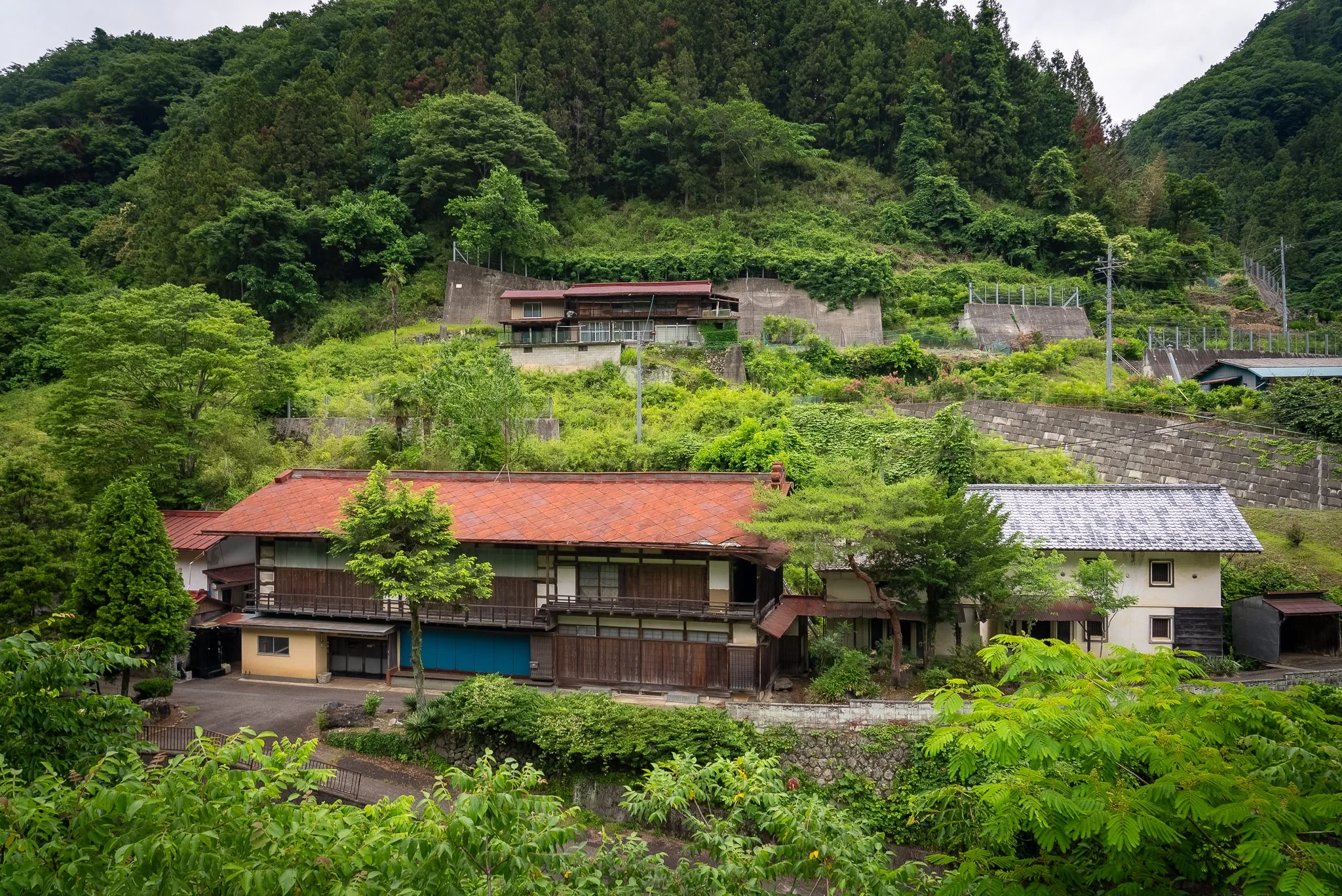 DSC00673-facebook copy.jpg