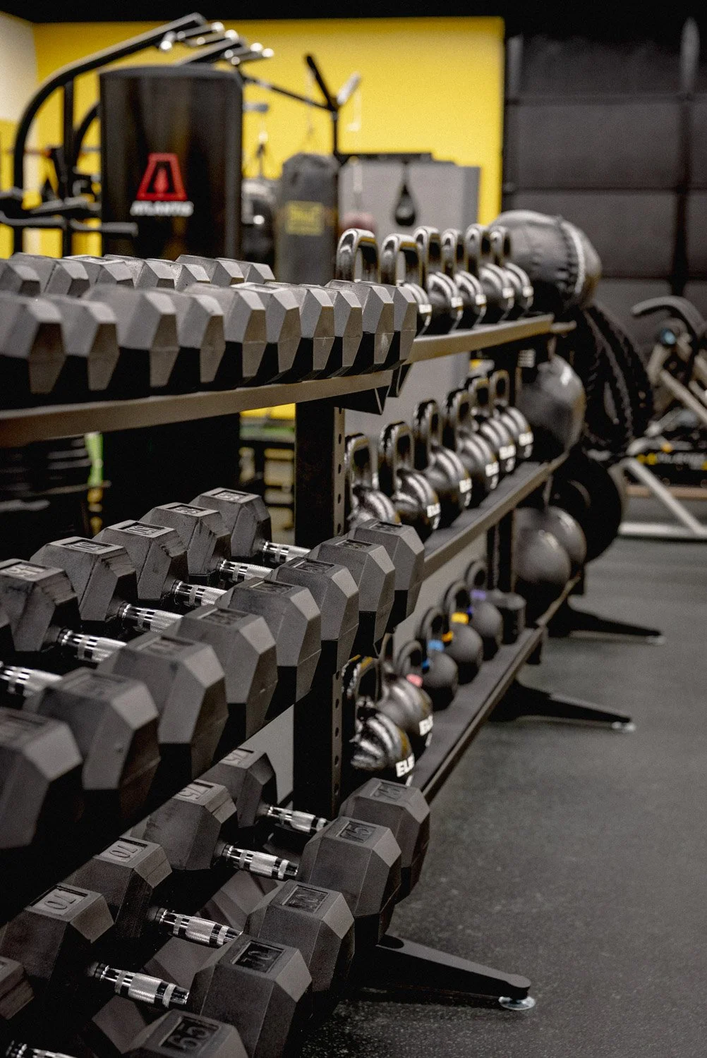 Custom home gym with organized dumbbell rack, kettlebells, and premium strength training equipment