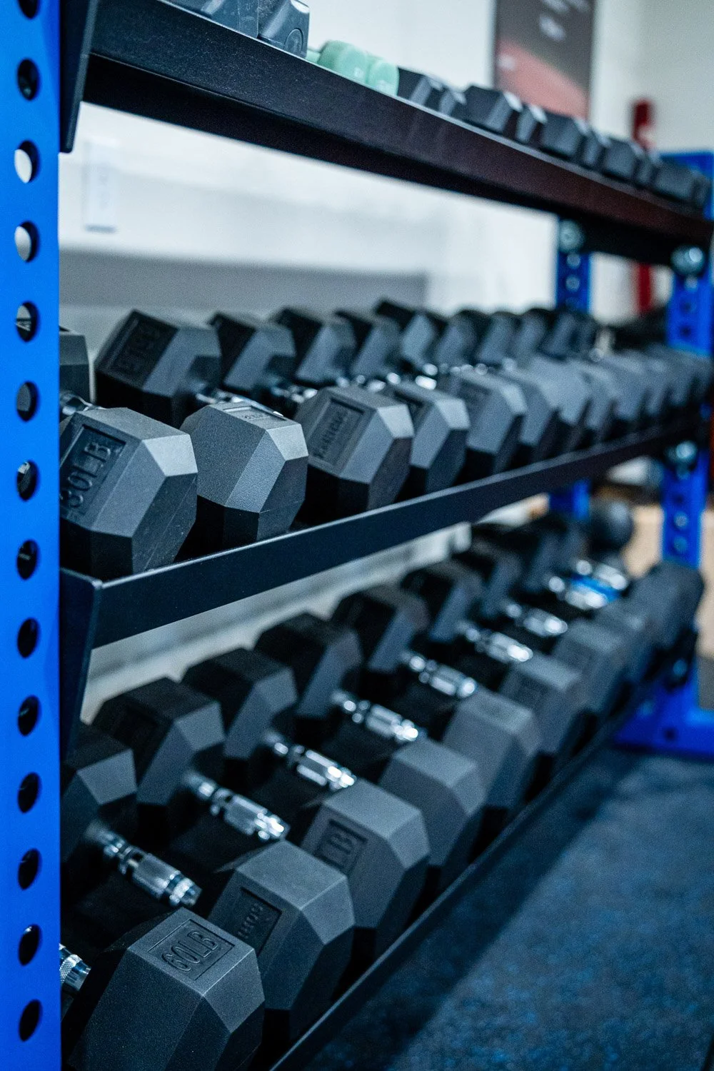 Close-up of rubber hex dumbbells on multi-tier rack in modern custom home gym setup