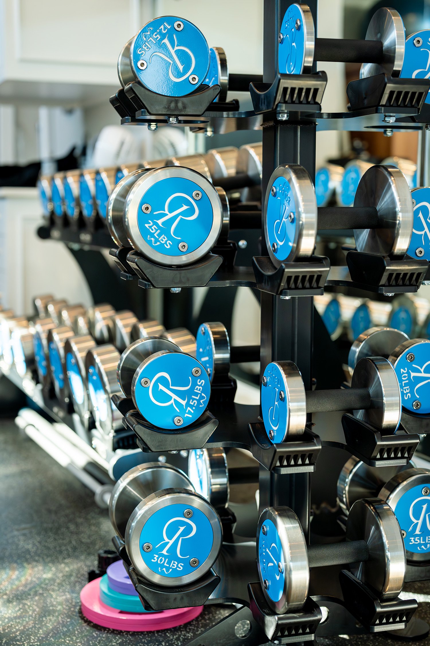 Close-up of premium stainless steel dumbbells with blue branding on organized rack in luxury home gym