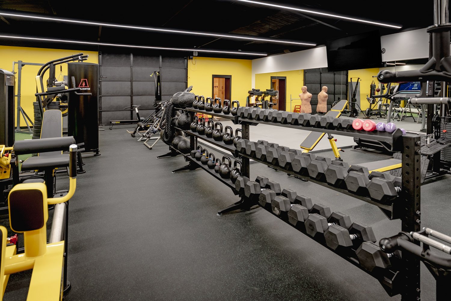 Spacious custom home gym with dumbbells, kettlebells, boxing bags, and modern strength training equipment