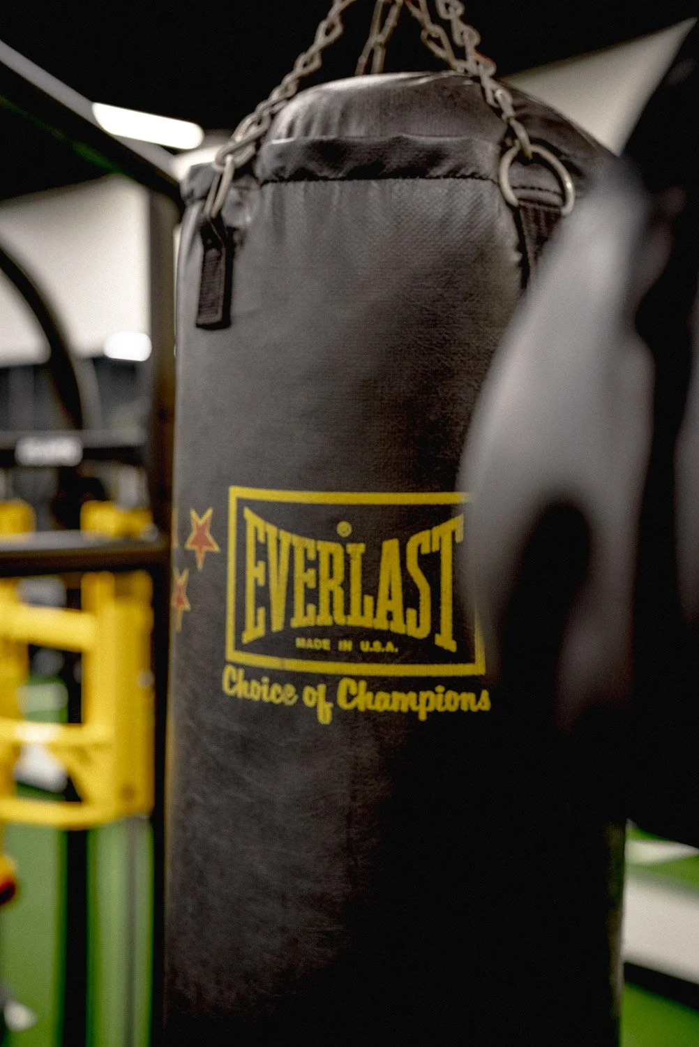 Luxury home gym design with Everlast punching bag and modern strength training equipment