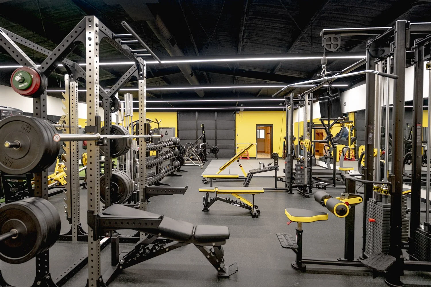 Custom luxury home gym with squat rack, free weights, Atlantis equipment, and modern strength training layout