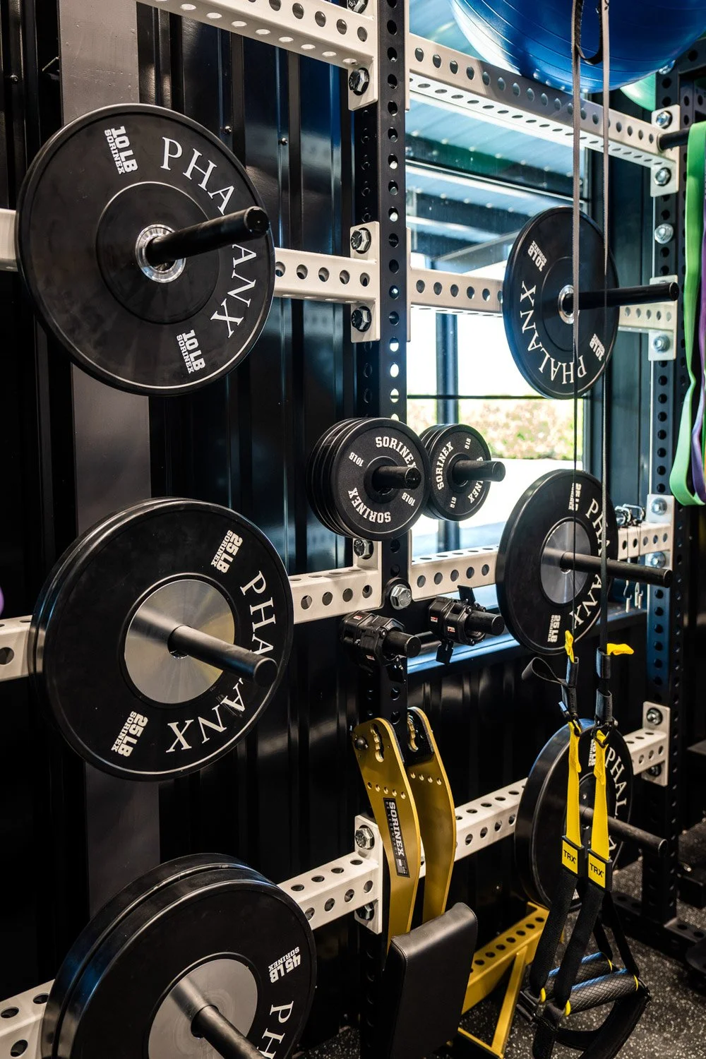 Close-up of Sorinex and Phalanx weight plates mounted on custom strength rack with TRX suspension straps in luxury home gym