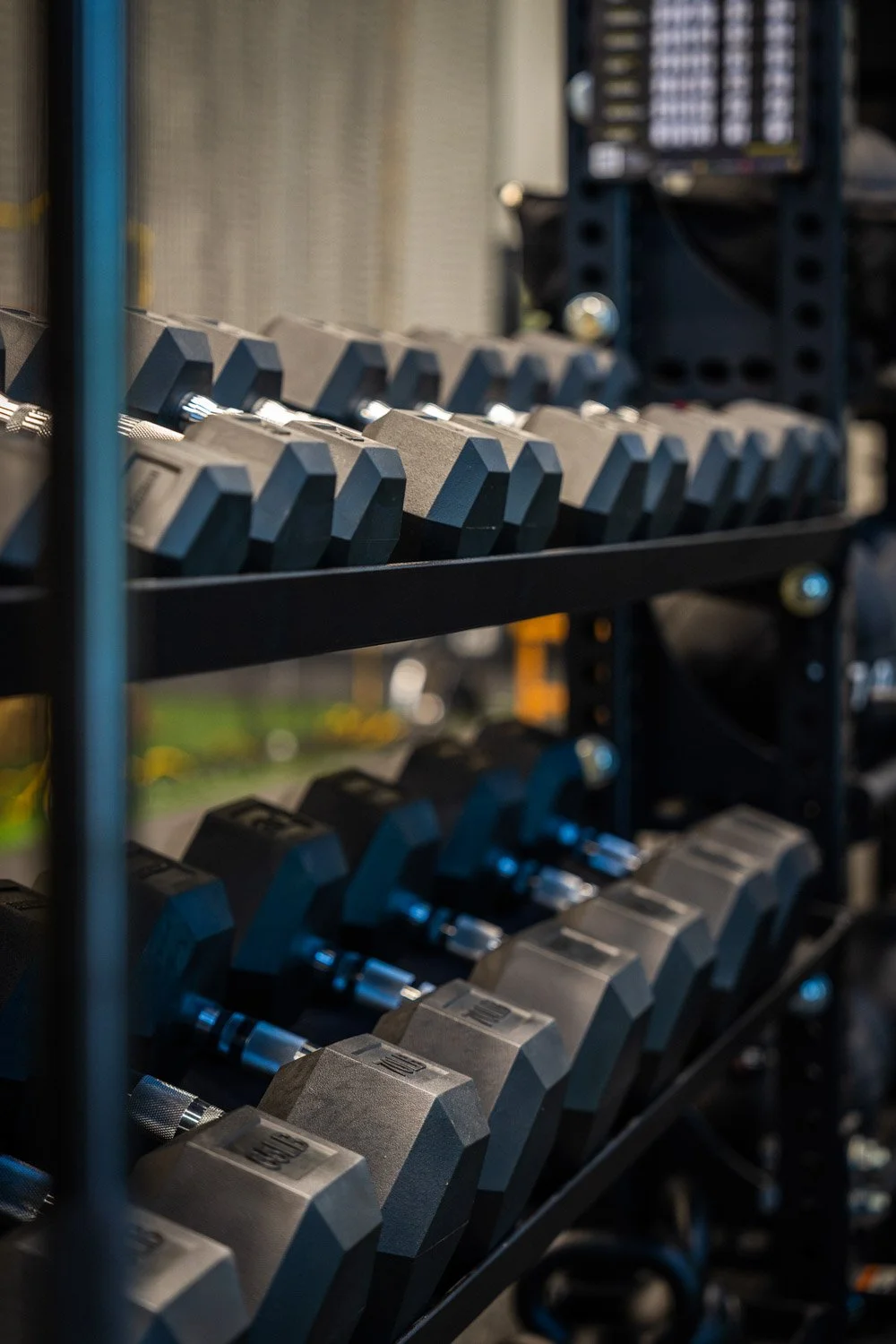 Close-up of hex dumbbells on rack in professional training gym with strength equipment and fitness storage system