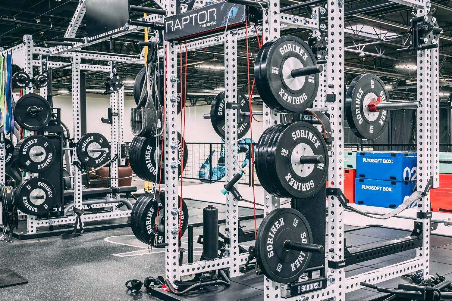 Professional gym setup with Sorinex racks, bumper plates, pull-up bars, and functional training zones