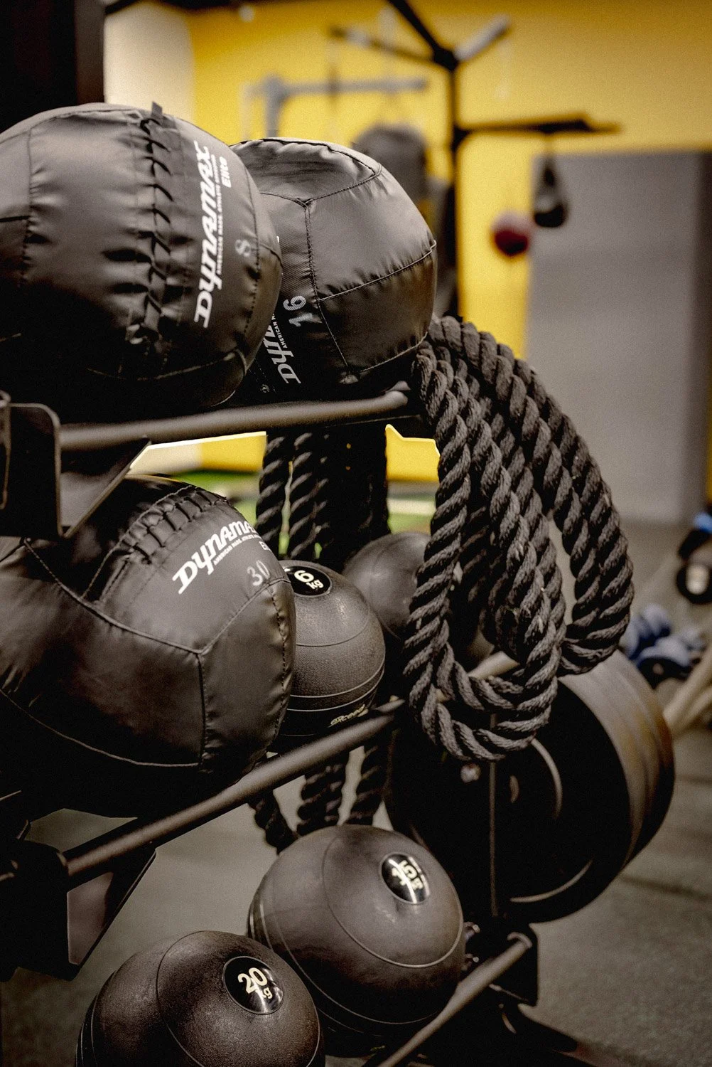 Custom home gym storage with medicine balls, battle ropes, and functional fitness equipment