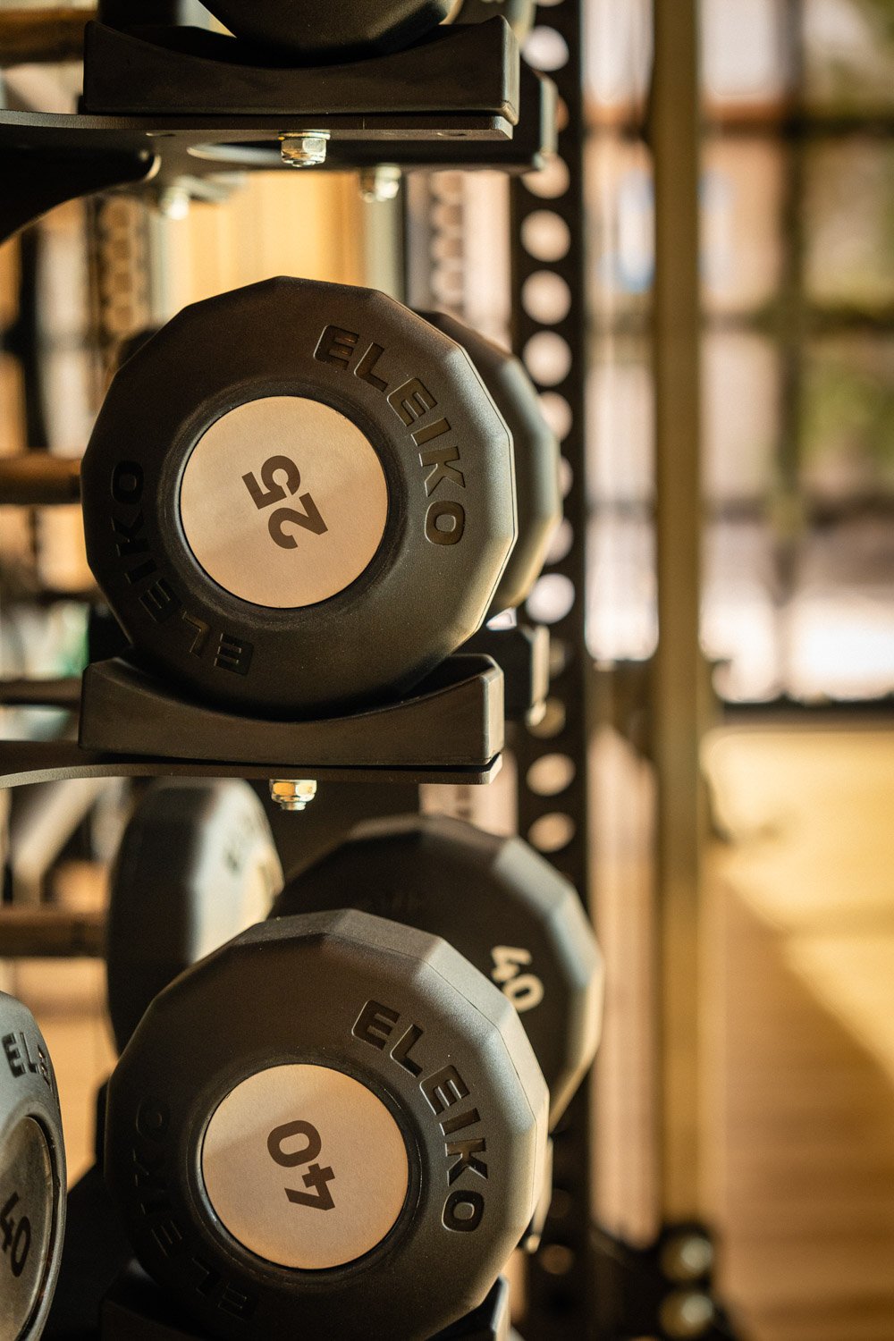 Close-up of Eleiko dumbbells on rack in luxury custom home gym with warm wood paneling and modern design