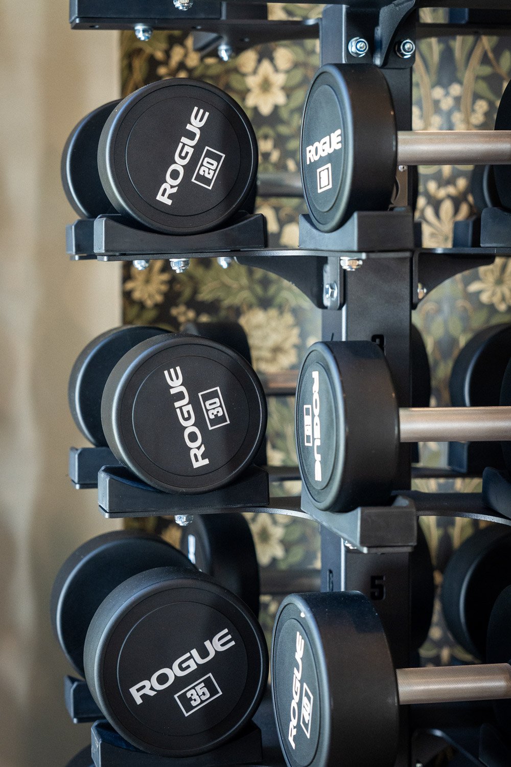 Close-up of Rogue round dumbbells on vertical rack in custom home gym with decorative wall background