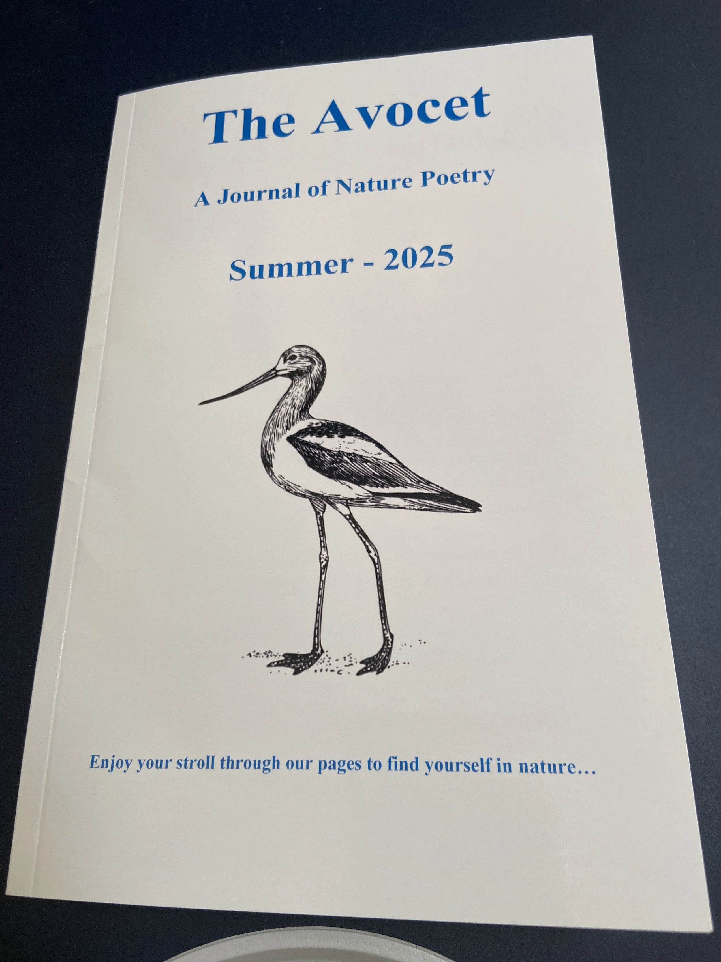 A cover photo of the Avocet, Journal of Nature Poetry, Summer 2025, with the Avocet bird picture in the center.