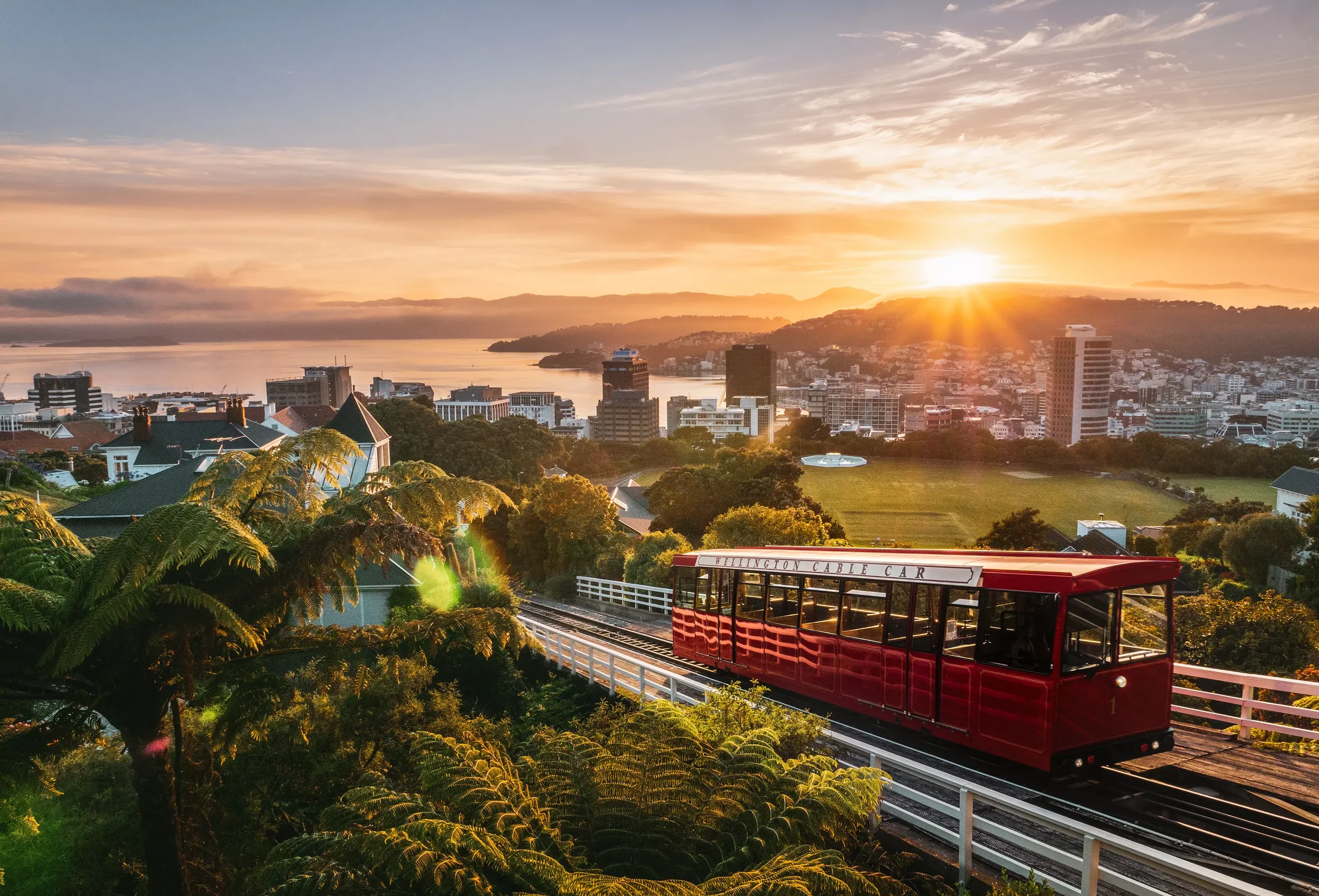 The iconic Wellington Cable Car with panoramic views of Wellington Harbour.