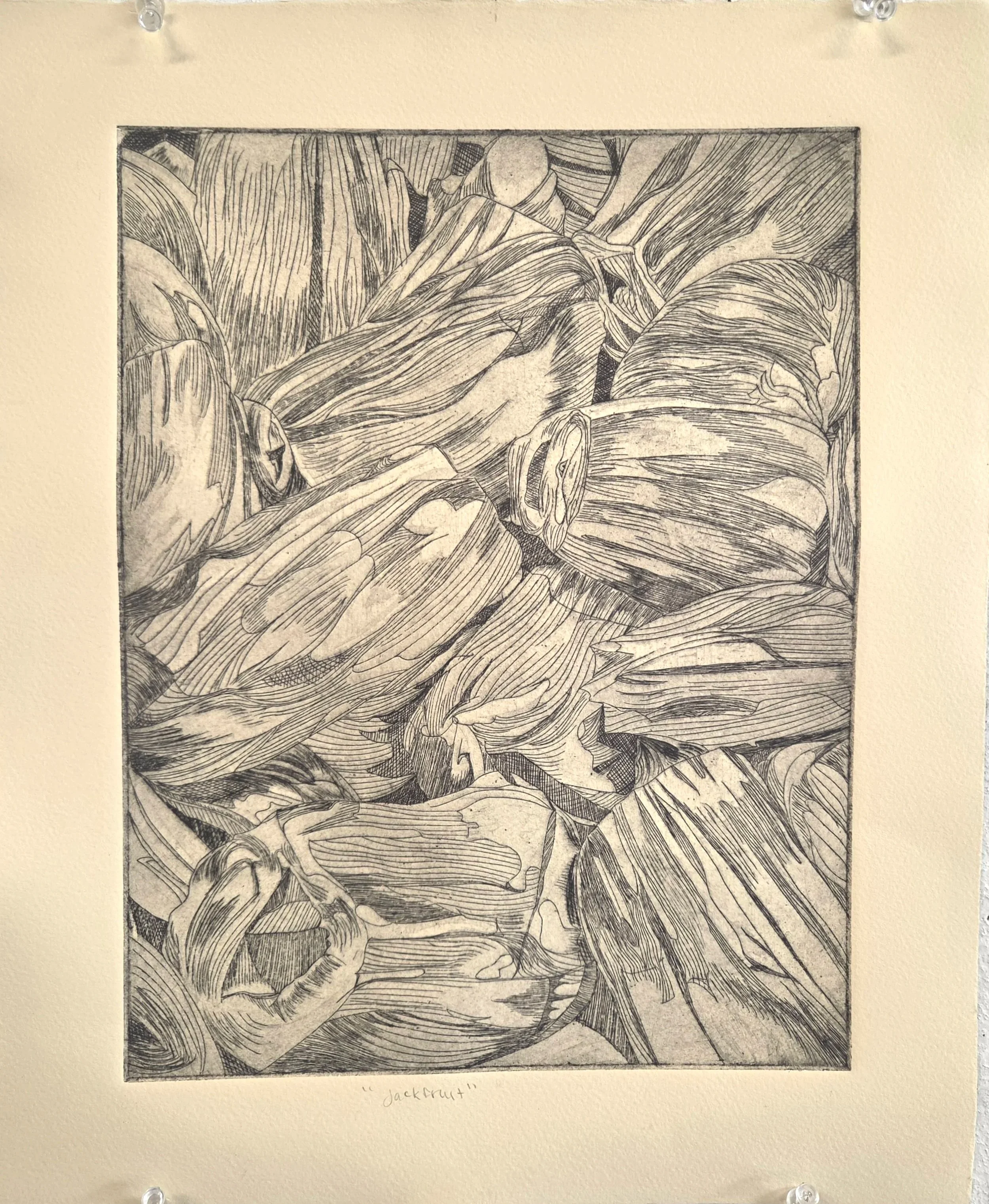 "Jackfruit", Etching with Aquatint, 12"x15", 2026