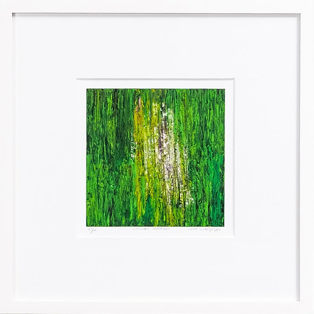 Secluded Woodland - Framed Giclée Print