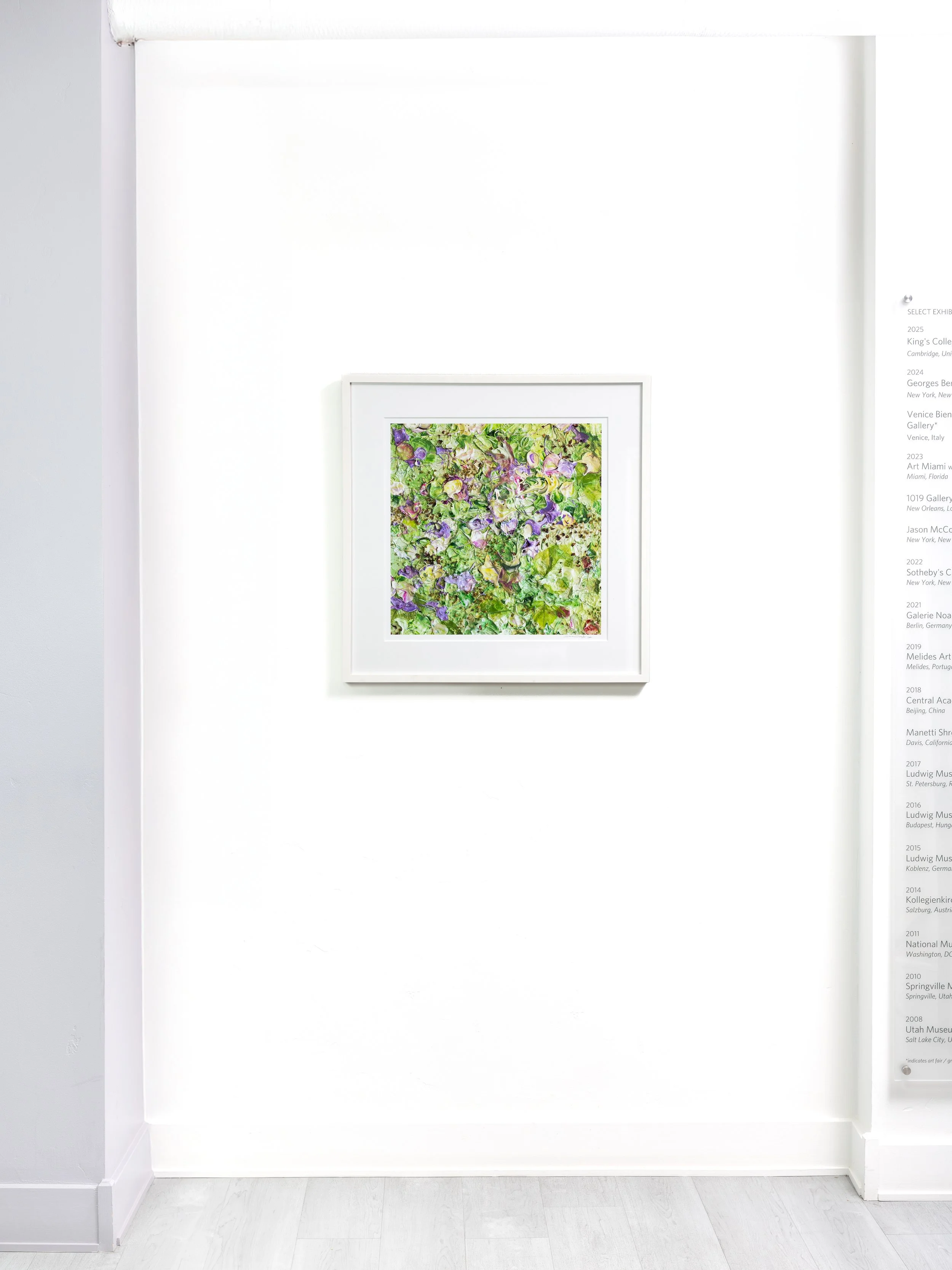 Print Evolution of Nature 2 Detail Install.jpg