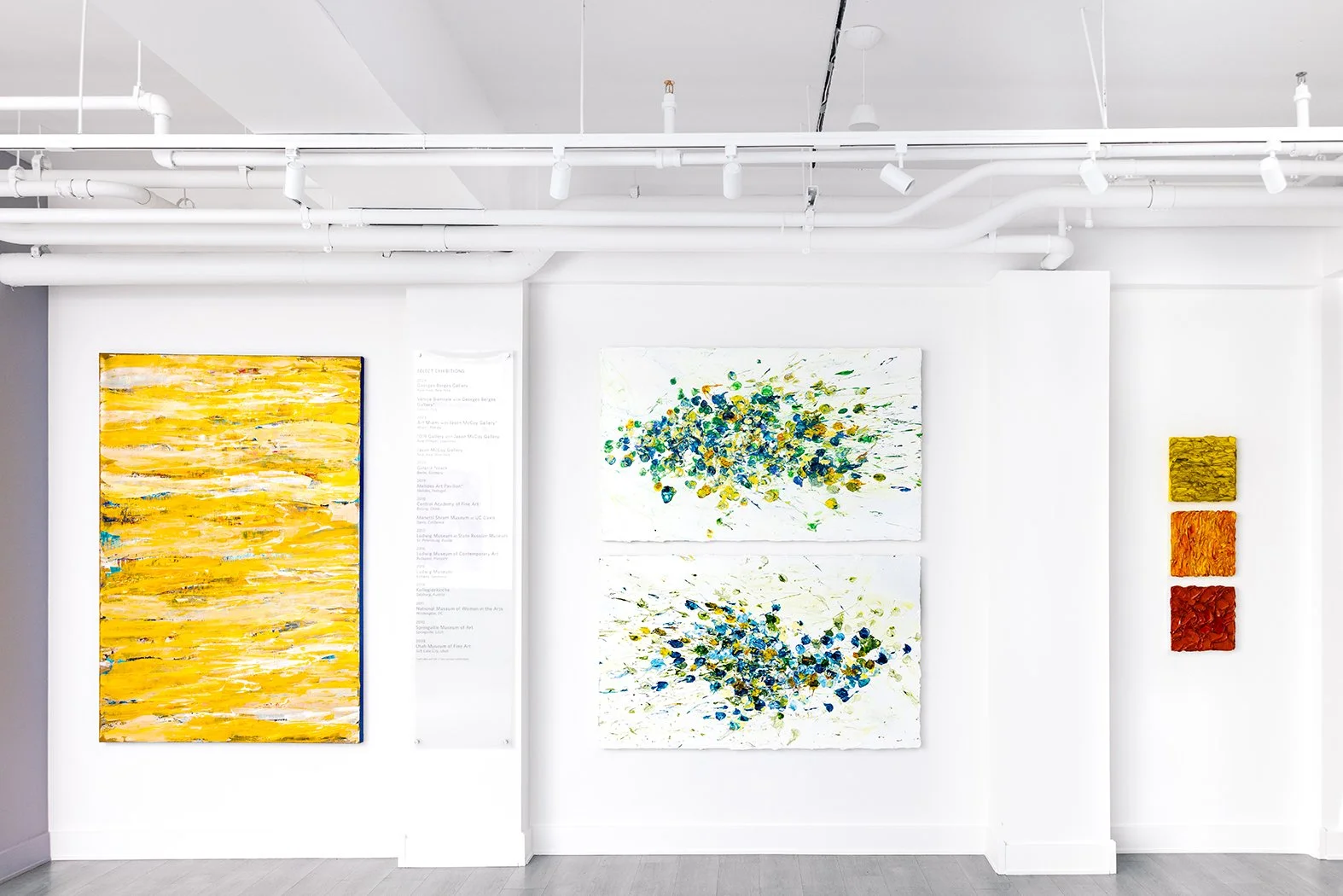 Gallery wall photo of contemporary art exhibition featuring abstract paintings by Susan Swartz