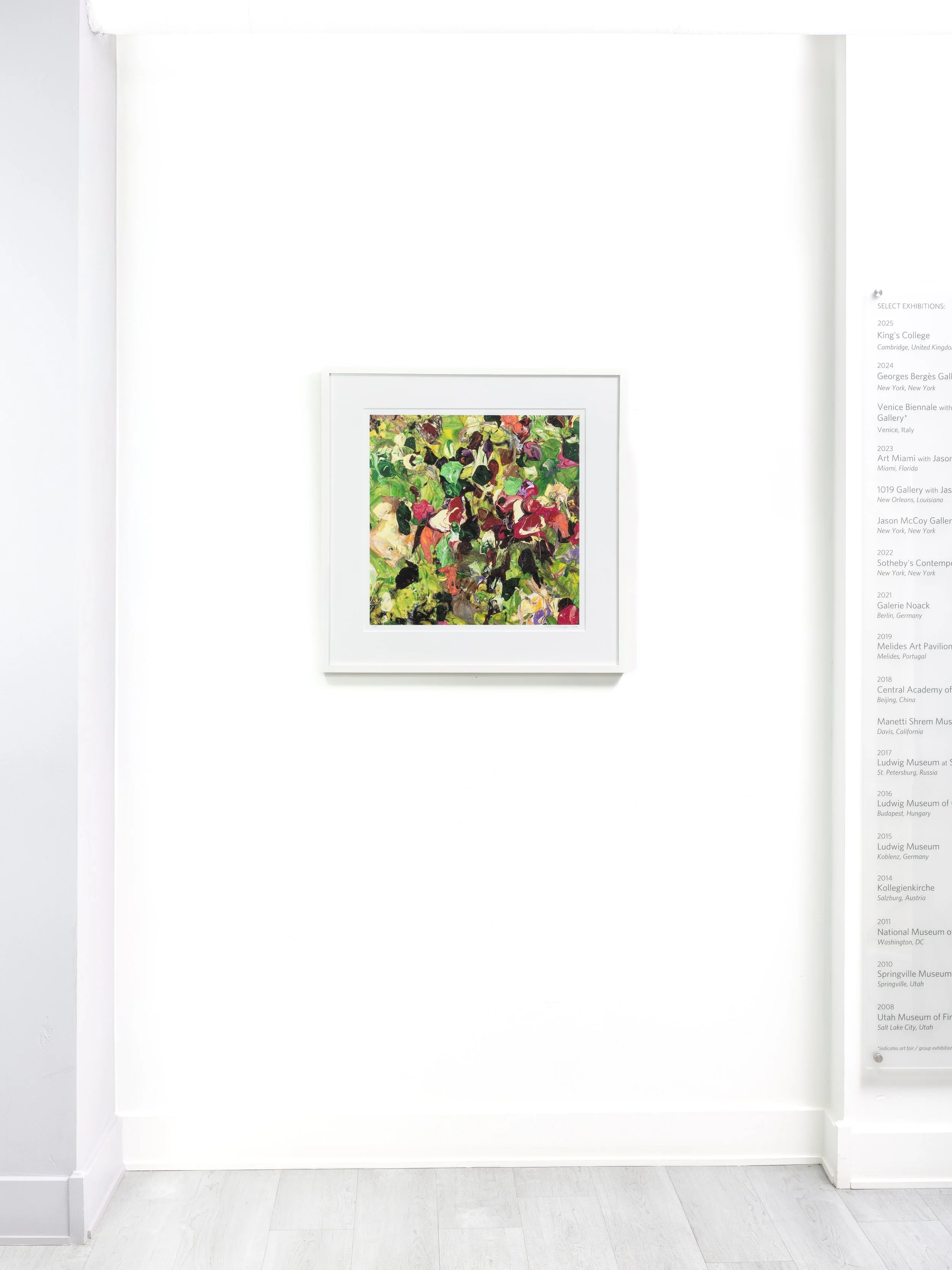 Print Evolution of Nature 10 Detail Install.jpg