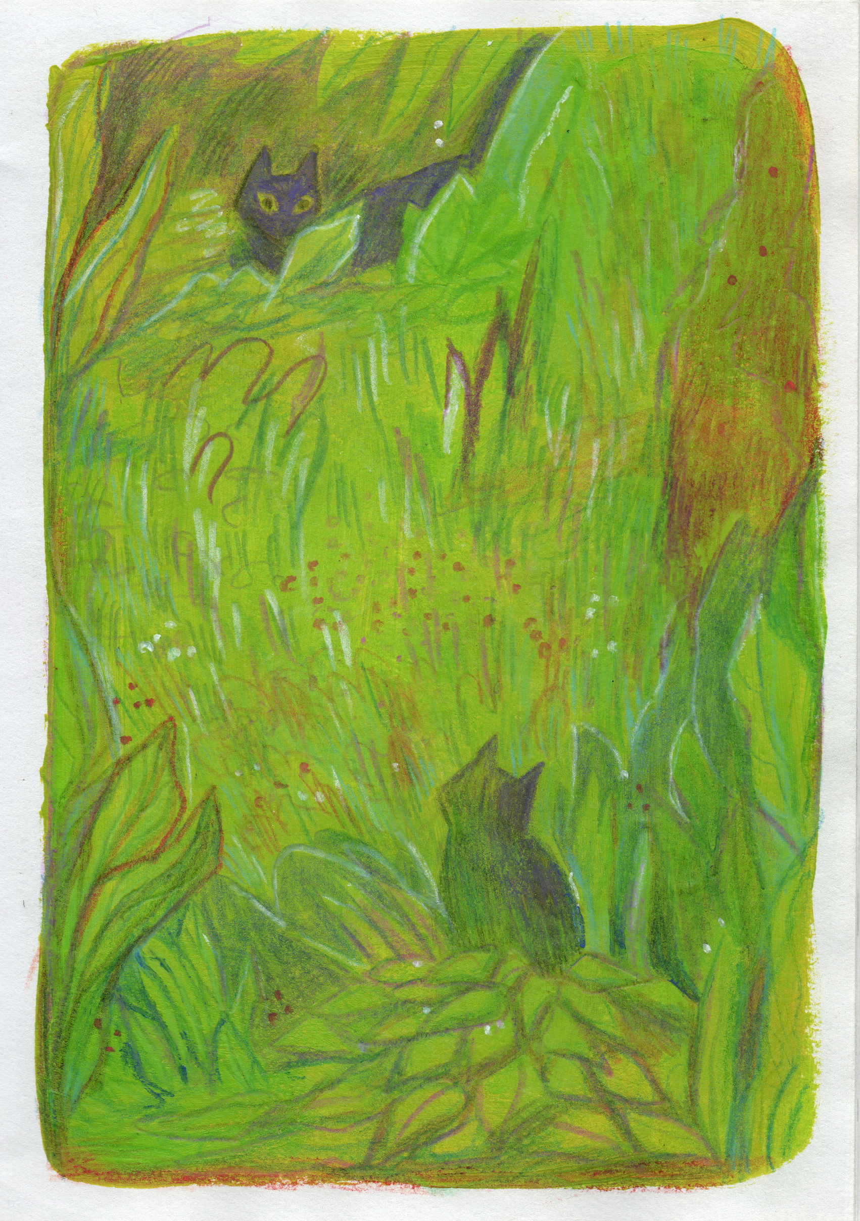 gallery gats grass.png