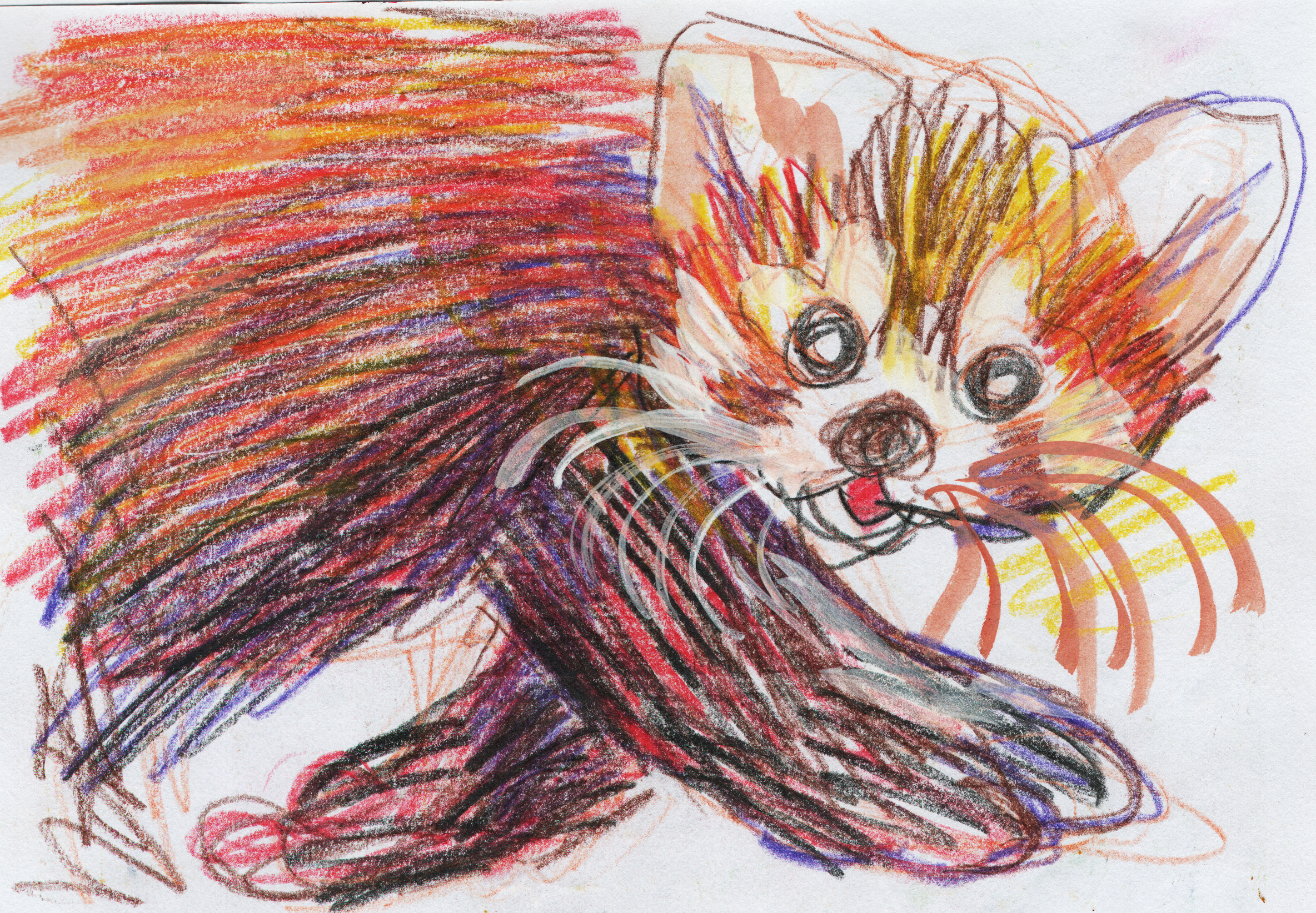 SKETCHBOOK & MORE