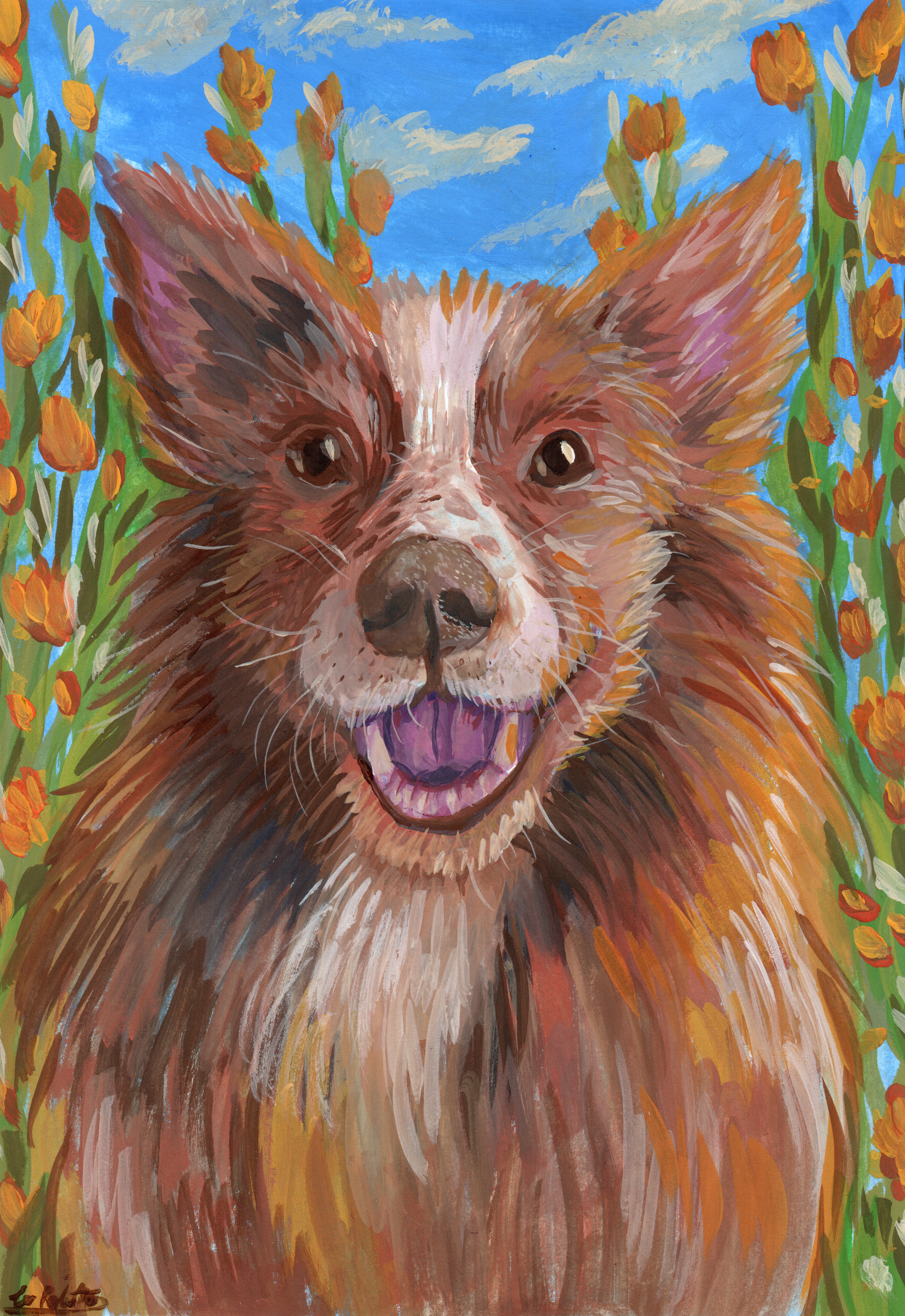 PET PORTRAITS