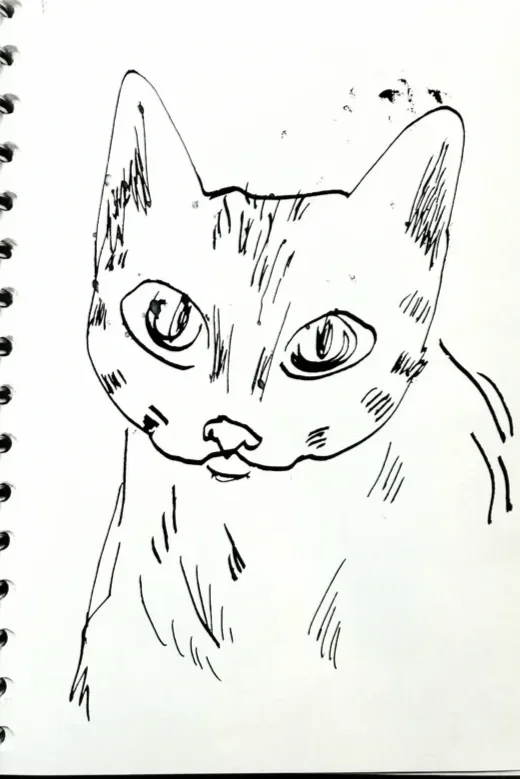 gallery+sketchbook+3.webp
