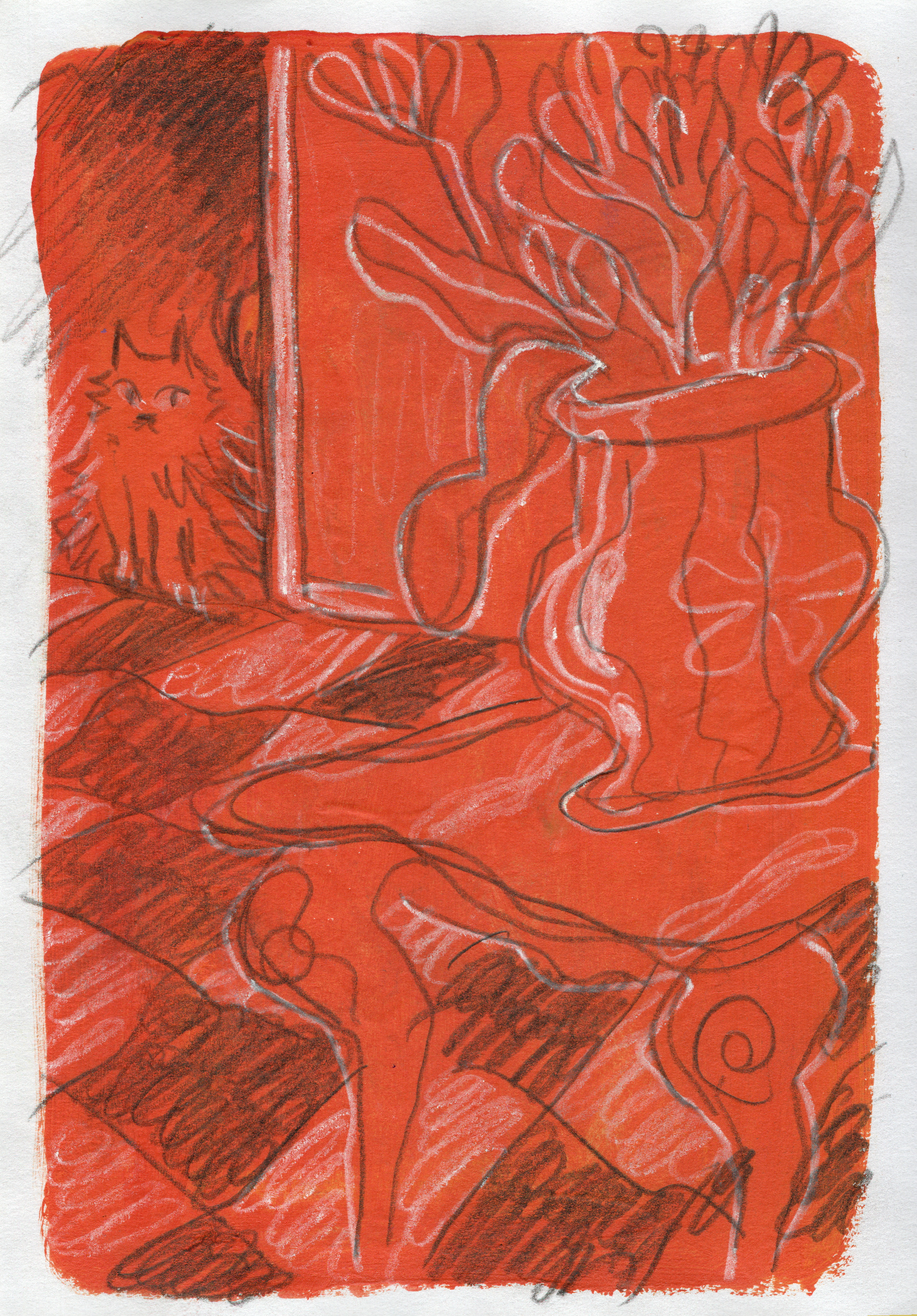 gallery gato jarron rojo.png