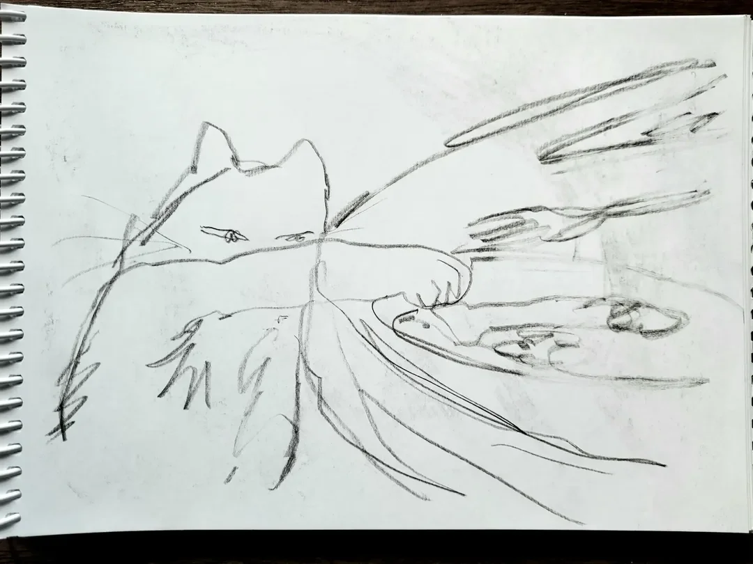 gallery sketchbook 2.webp