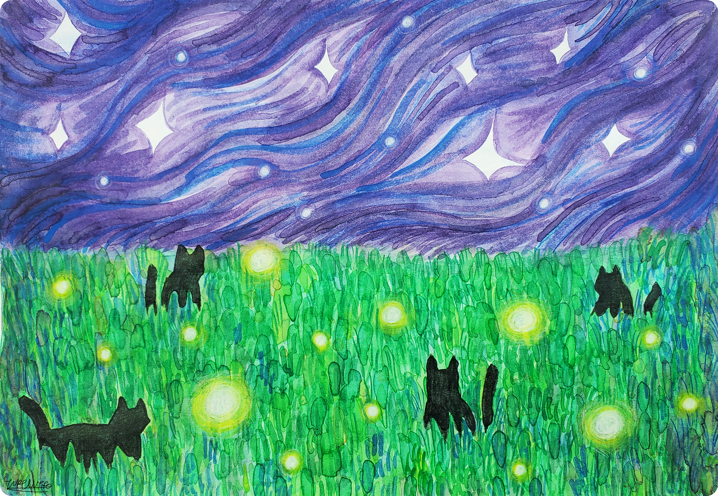 gallery field.png