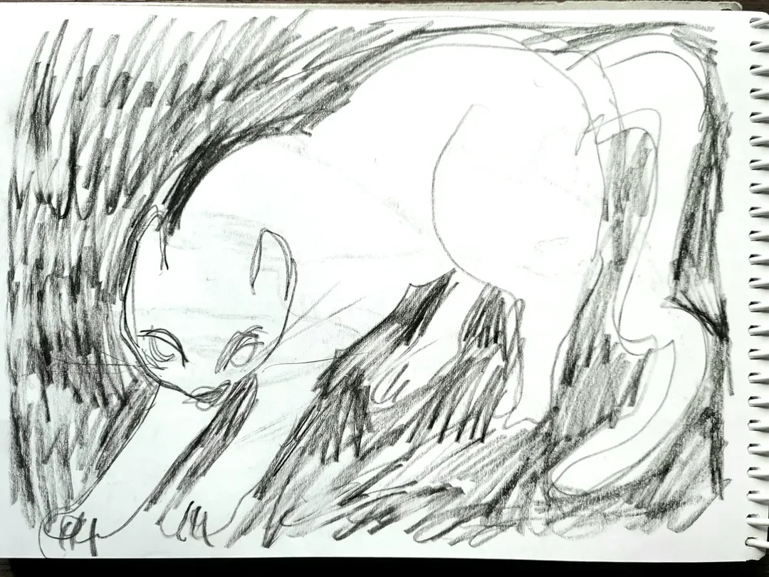 gallery sketchbook 1.webp