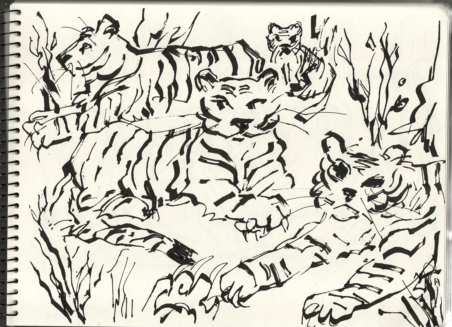 gallery sketchbook 05 copia.png