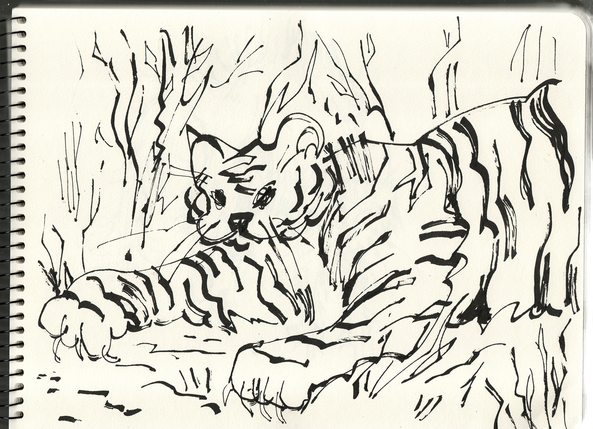 gallery sketchbook04 copia.png