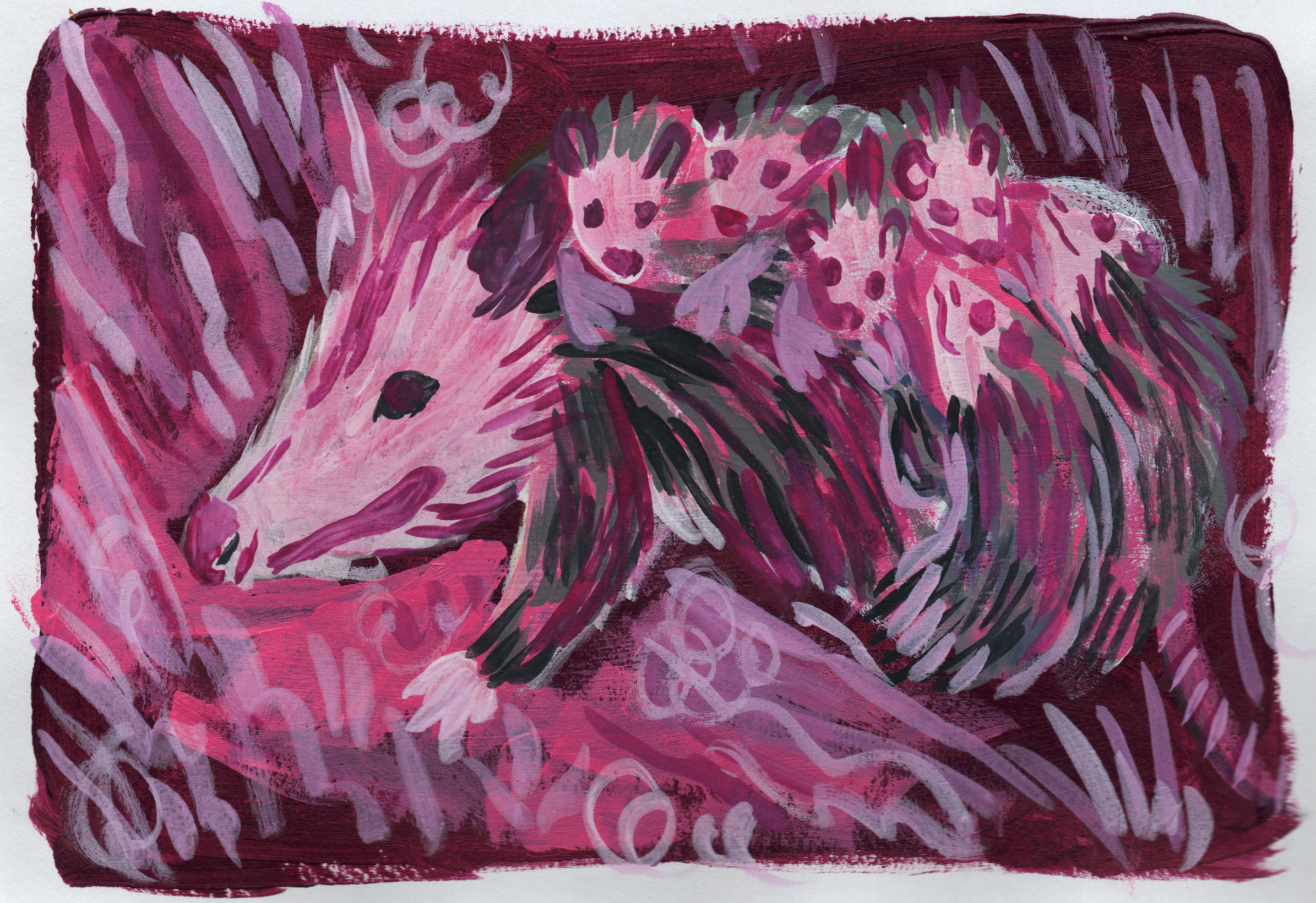gallery possum.png