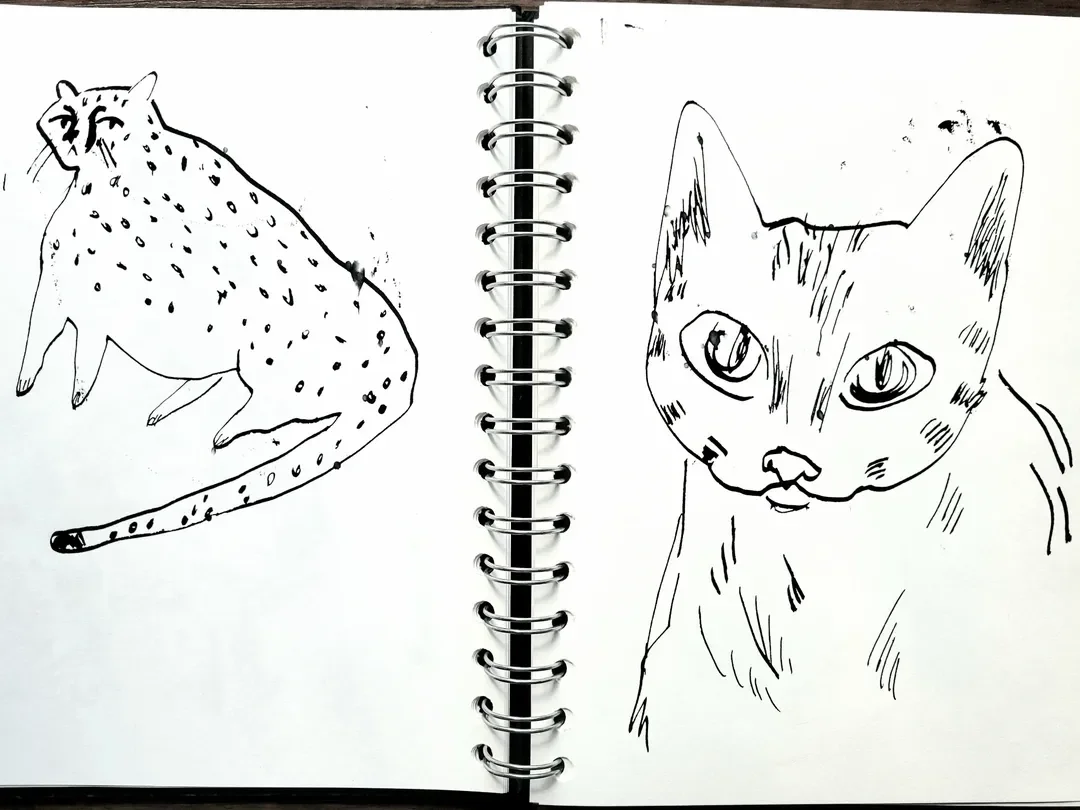 gallery sketchbook 3.webp