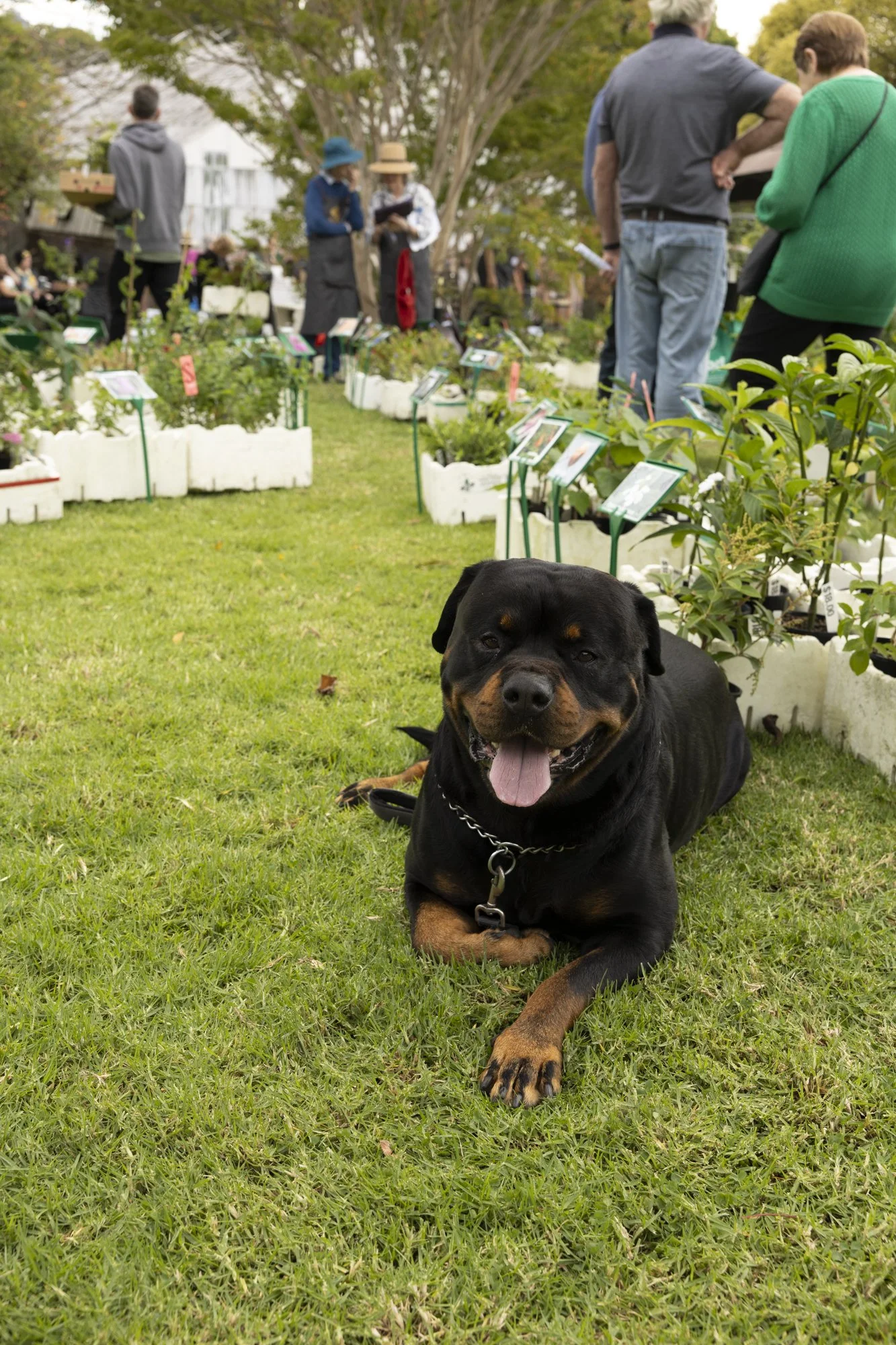 Plantsale-2.jpg