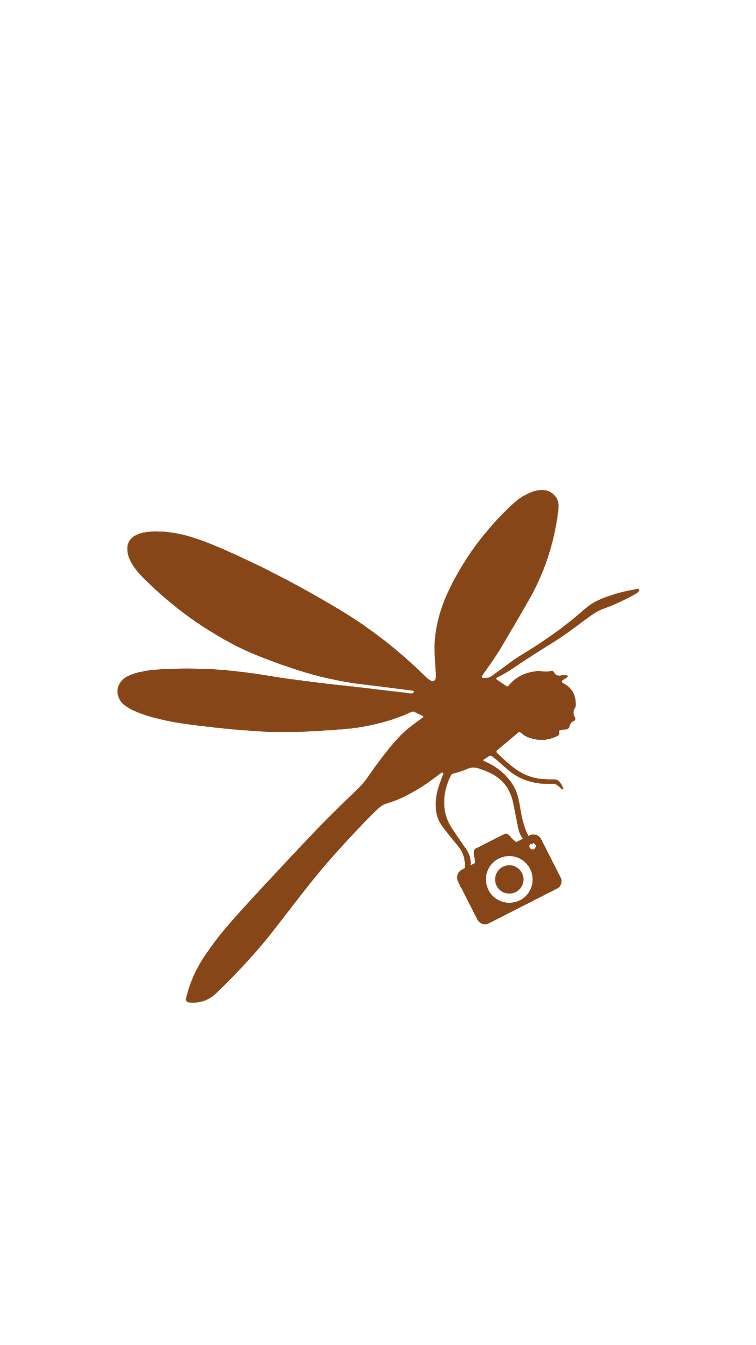 Dragonfly Dreamer 32