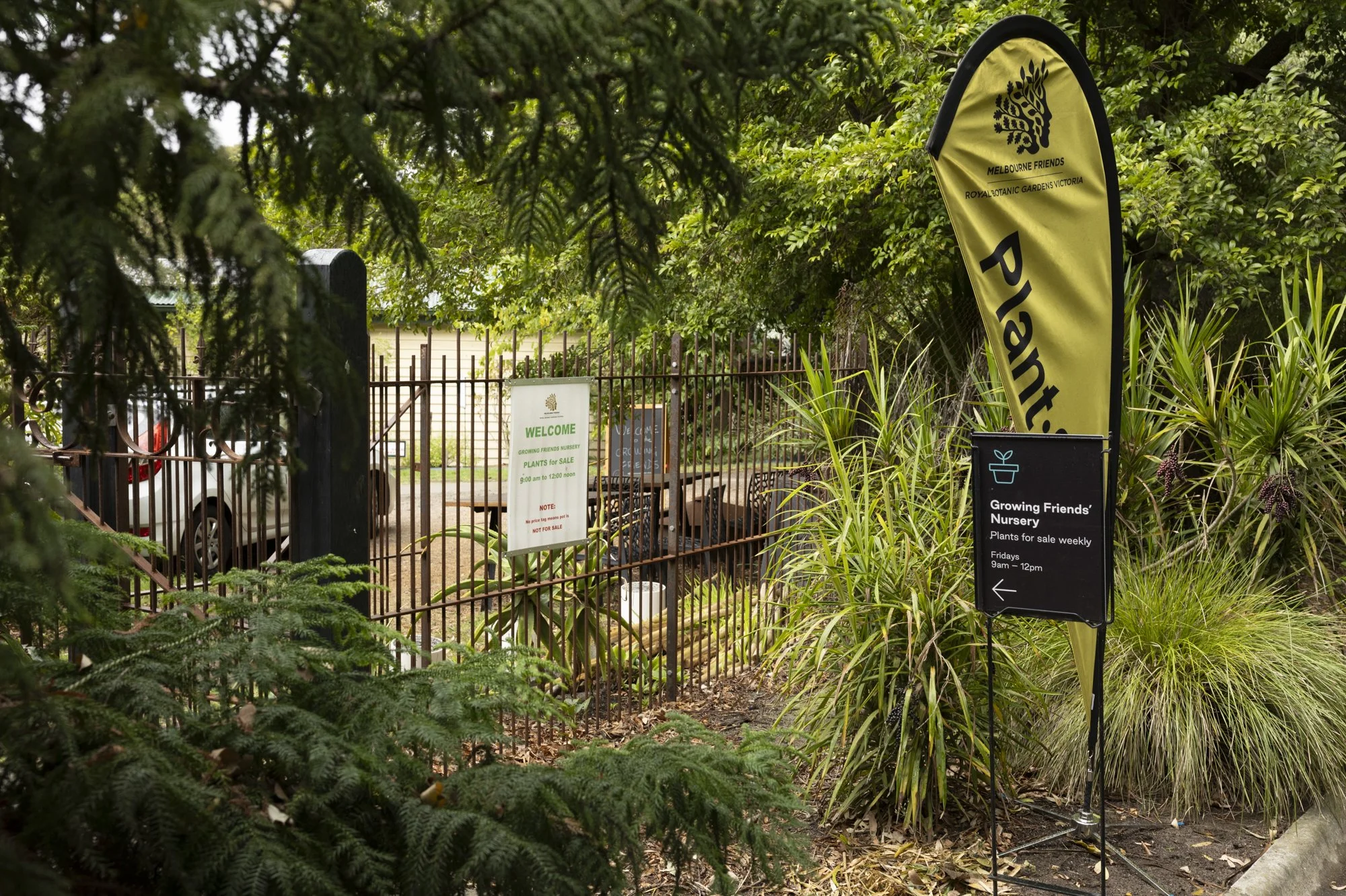 Three signs tucked into the garden point to a gate in a fence. The signs say plant sale and Growing Friends' nursery with a directional arrow.