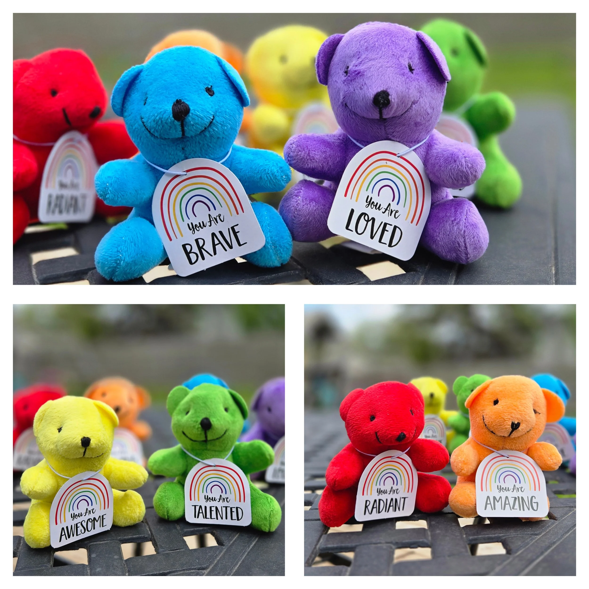 Mini Positive Affirmation Bears (Donation Add-On)