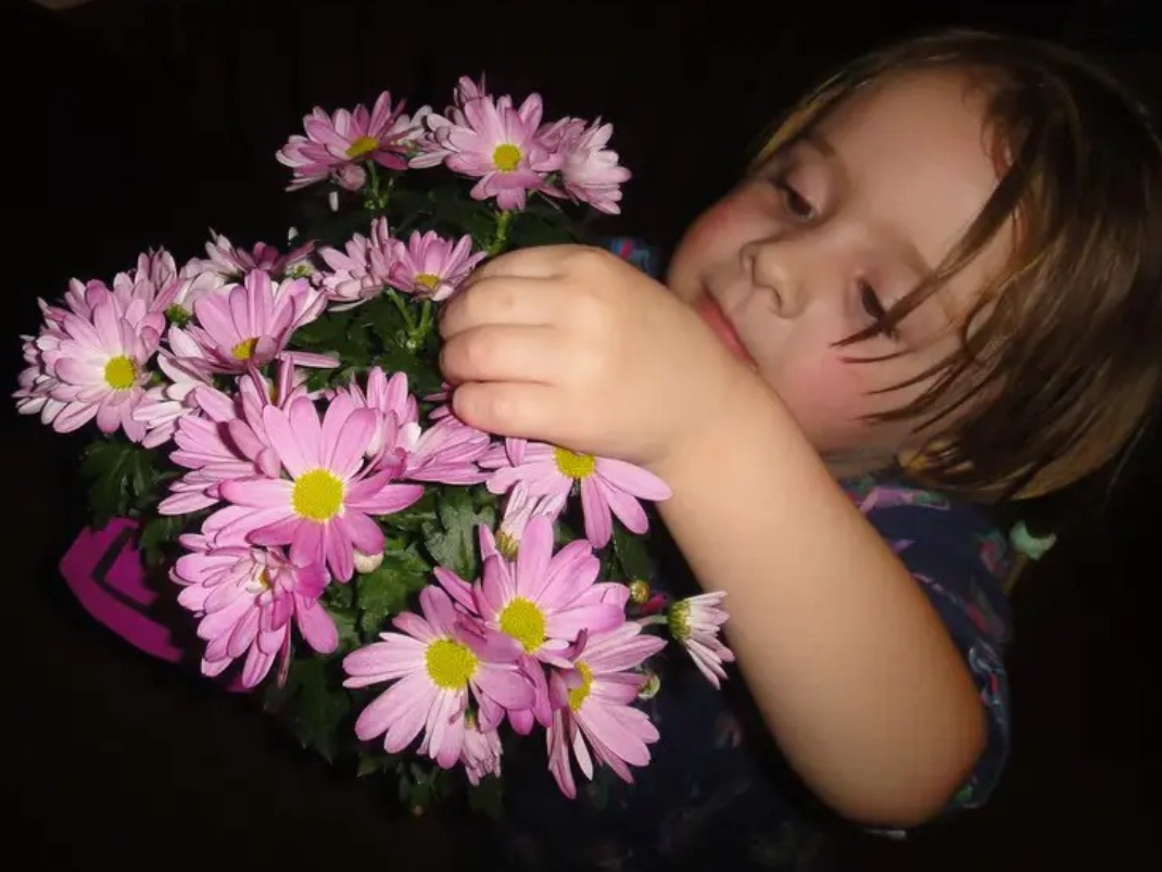 A young girl with light brown hair is holding a bouquet of pink daisies with yellow centers.