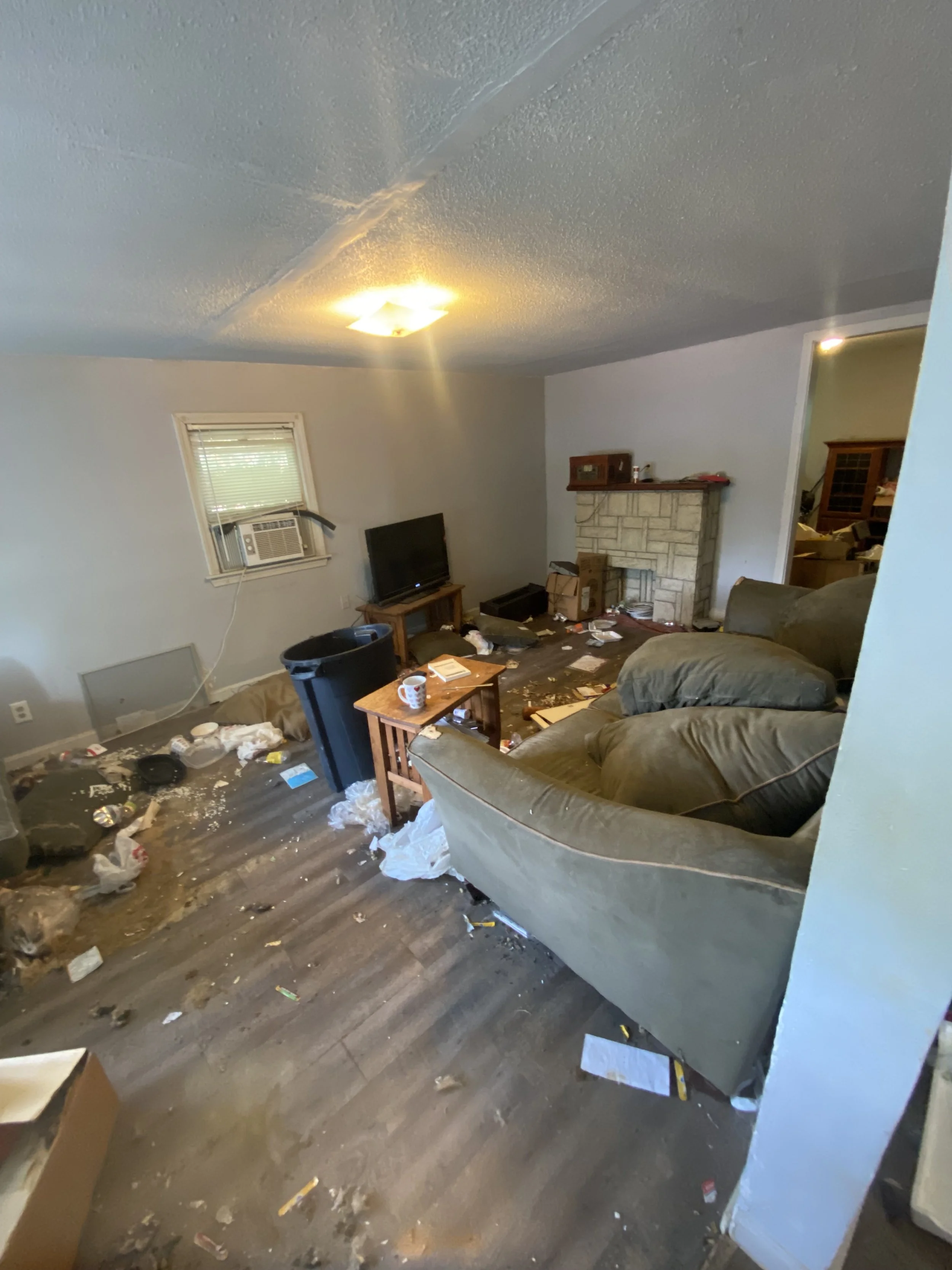 Living room — as we found it