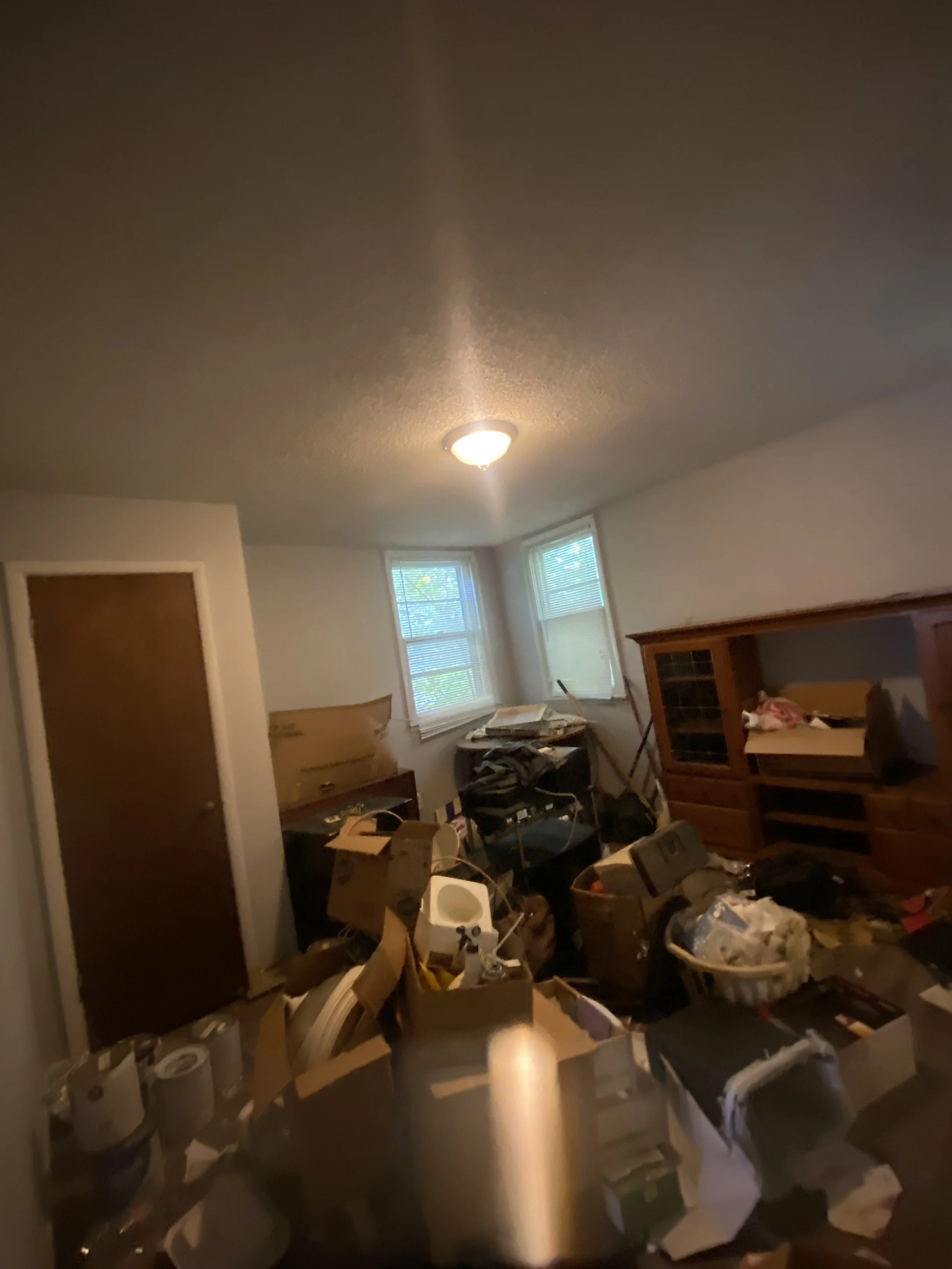 In progress — attic framing