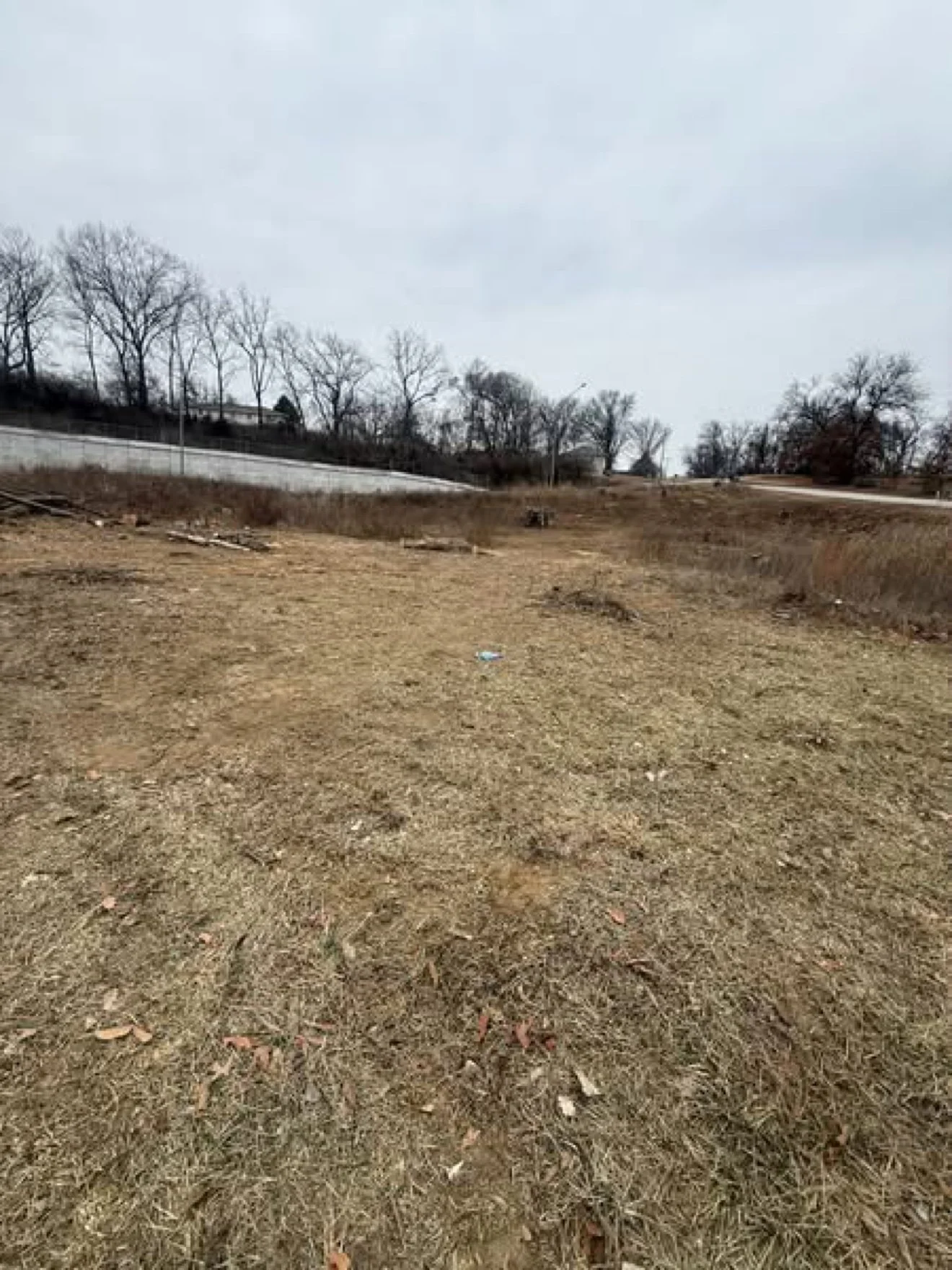 Before — overgrown lot