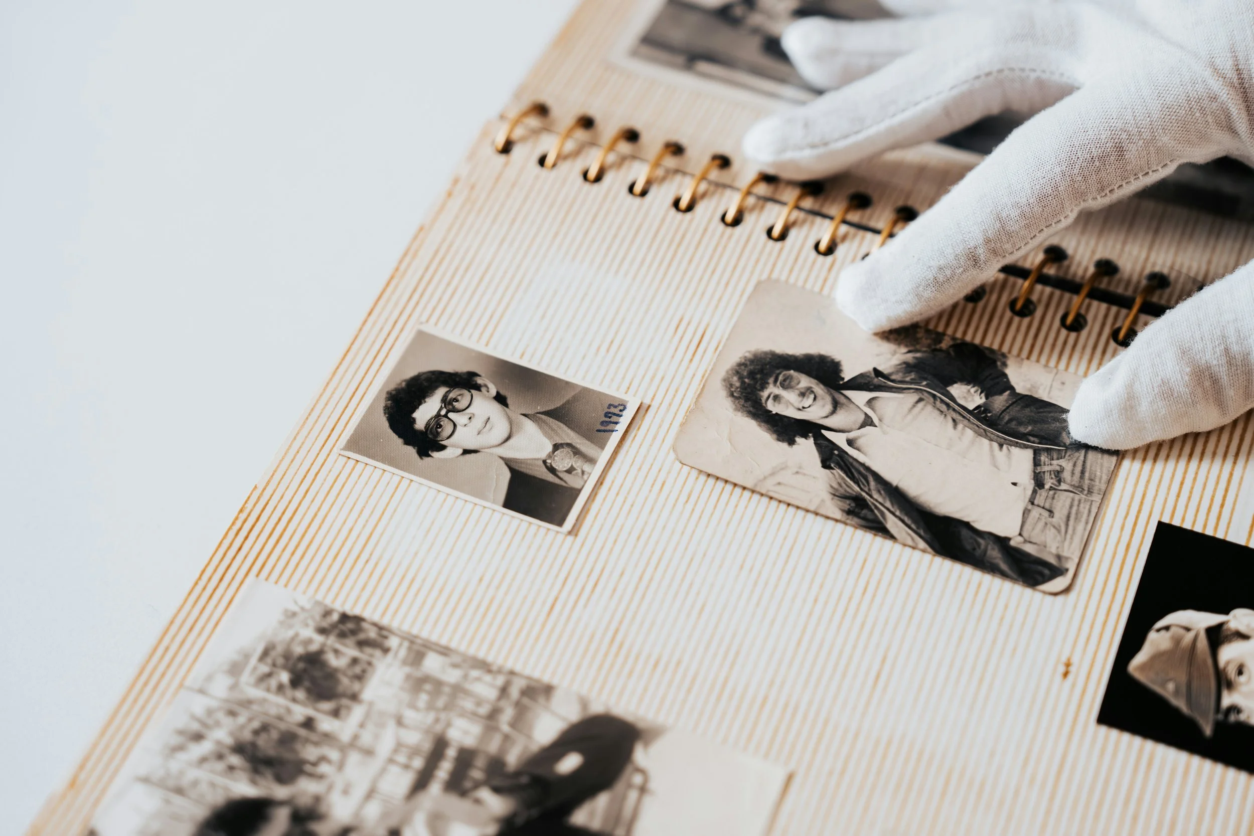 Organized Memories by My Memory File by Certified Photo Manager Cheryl DiFrank