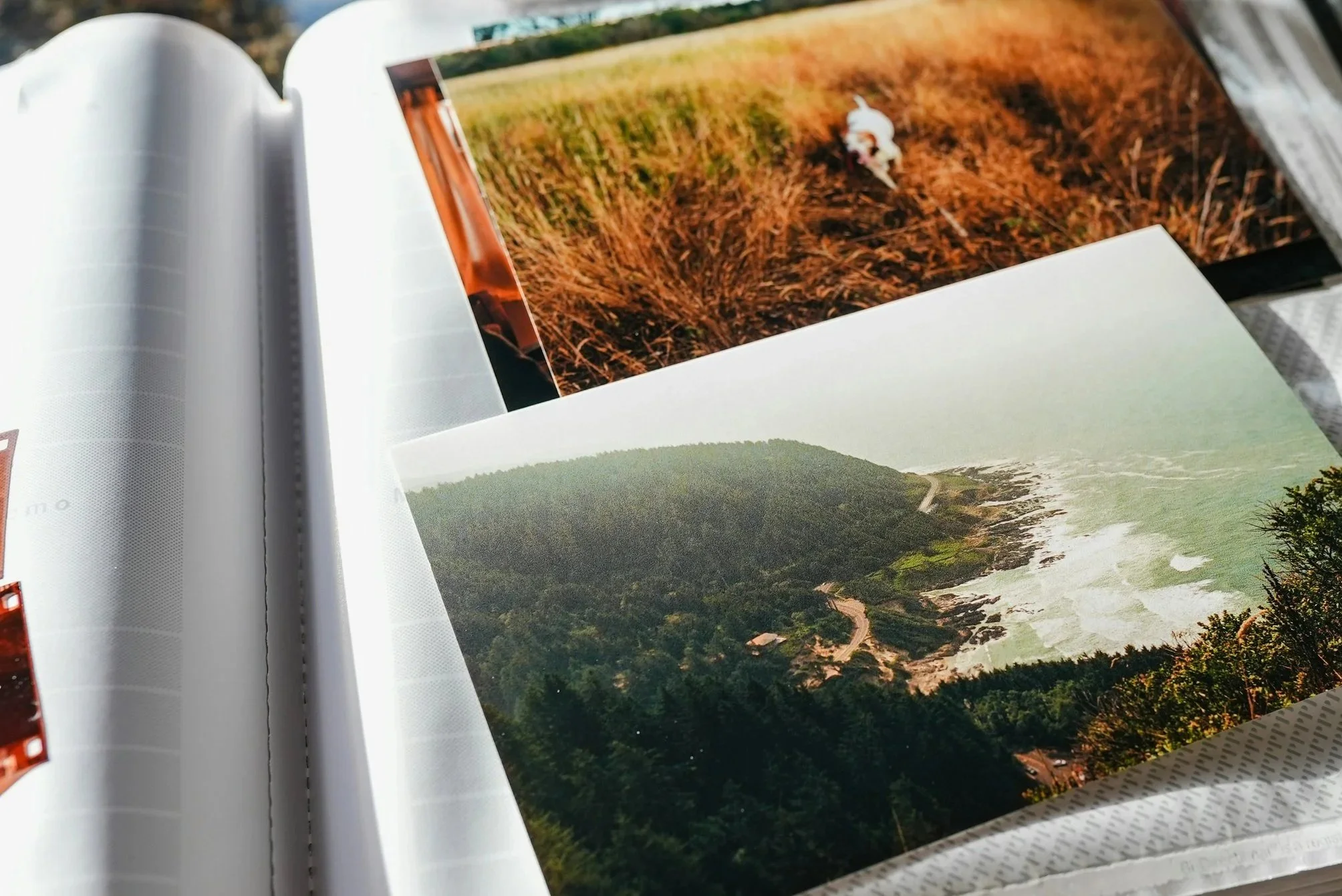 Open photo album with landscape photos showing countryside and forest scenes. | My Memory File | Photo Manager Cheryl DiFrank