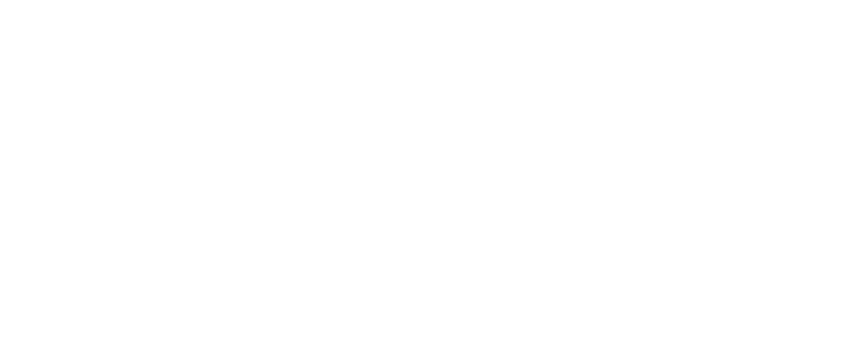 Cleveland Web Company