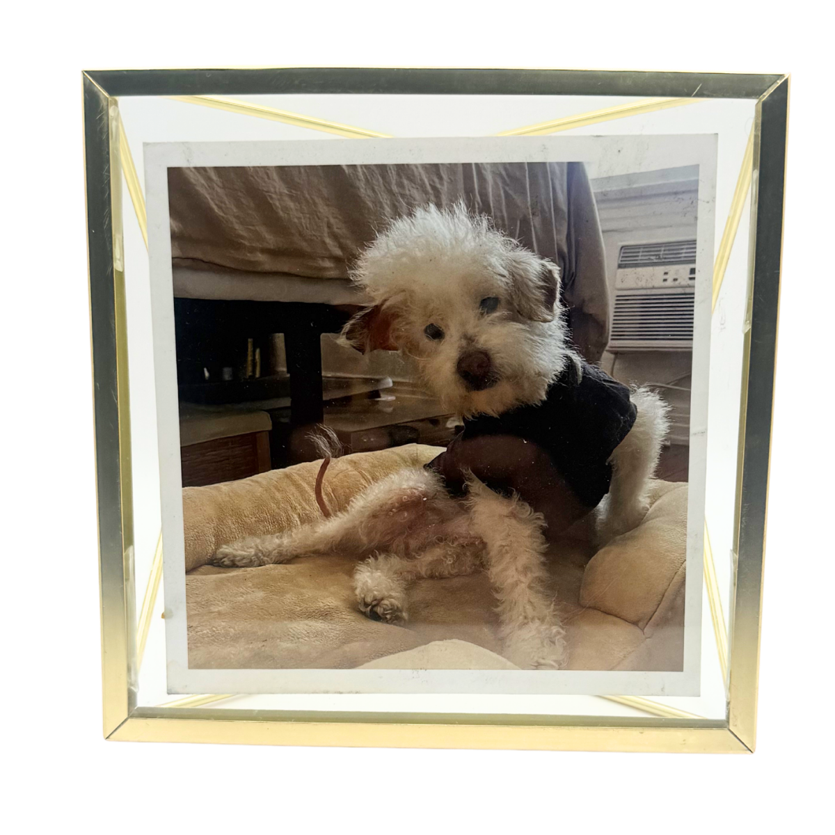gold picture frame