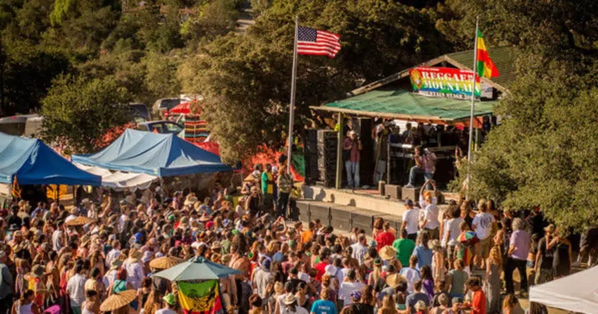 reggae2.webp