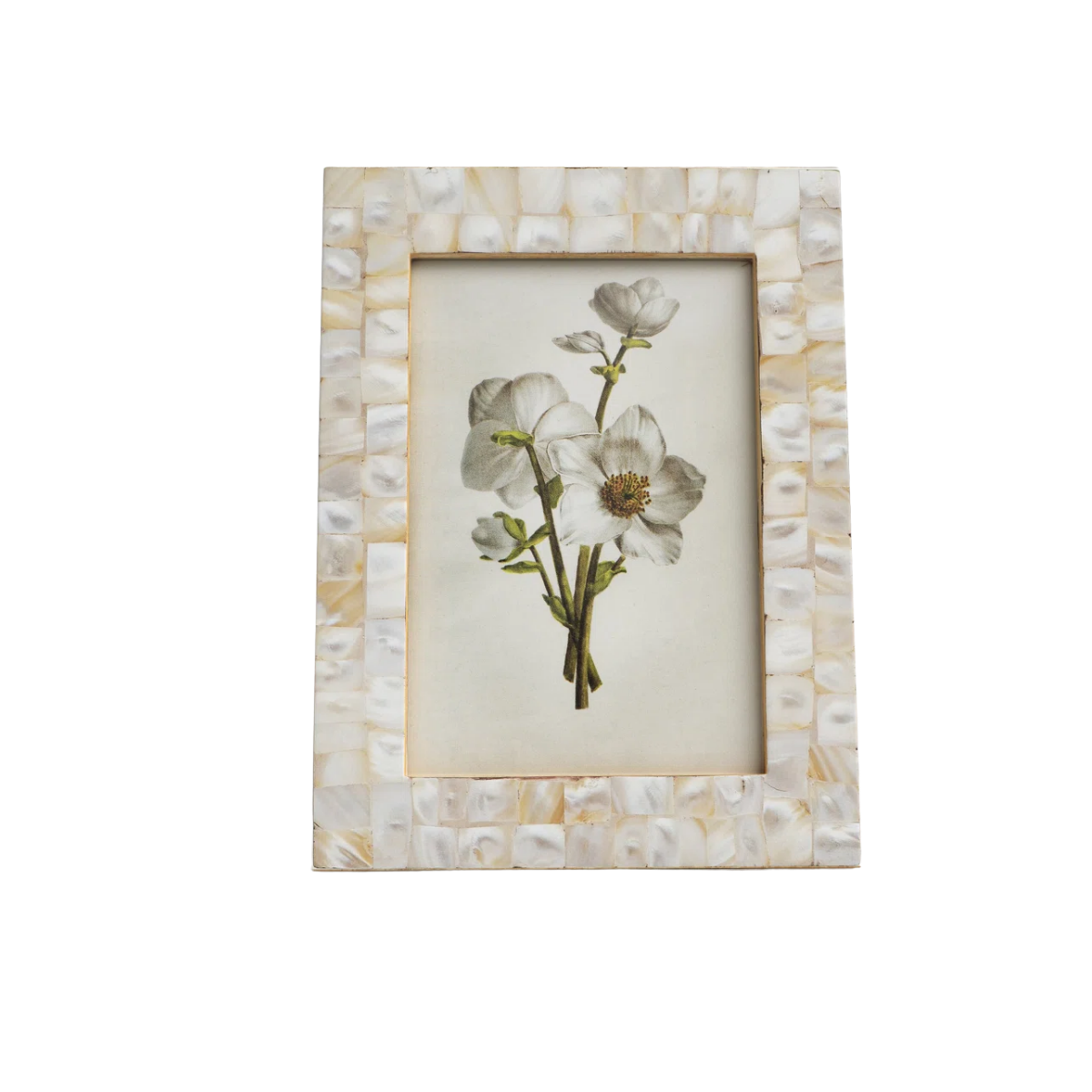 mother of pearl picture frame
