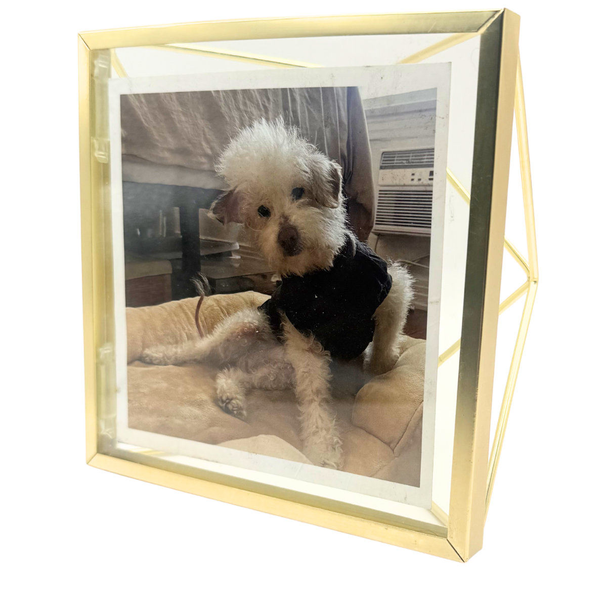 gold picture frame